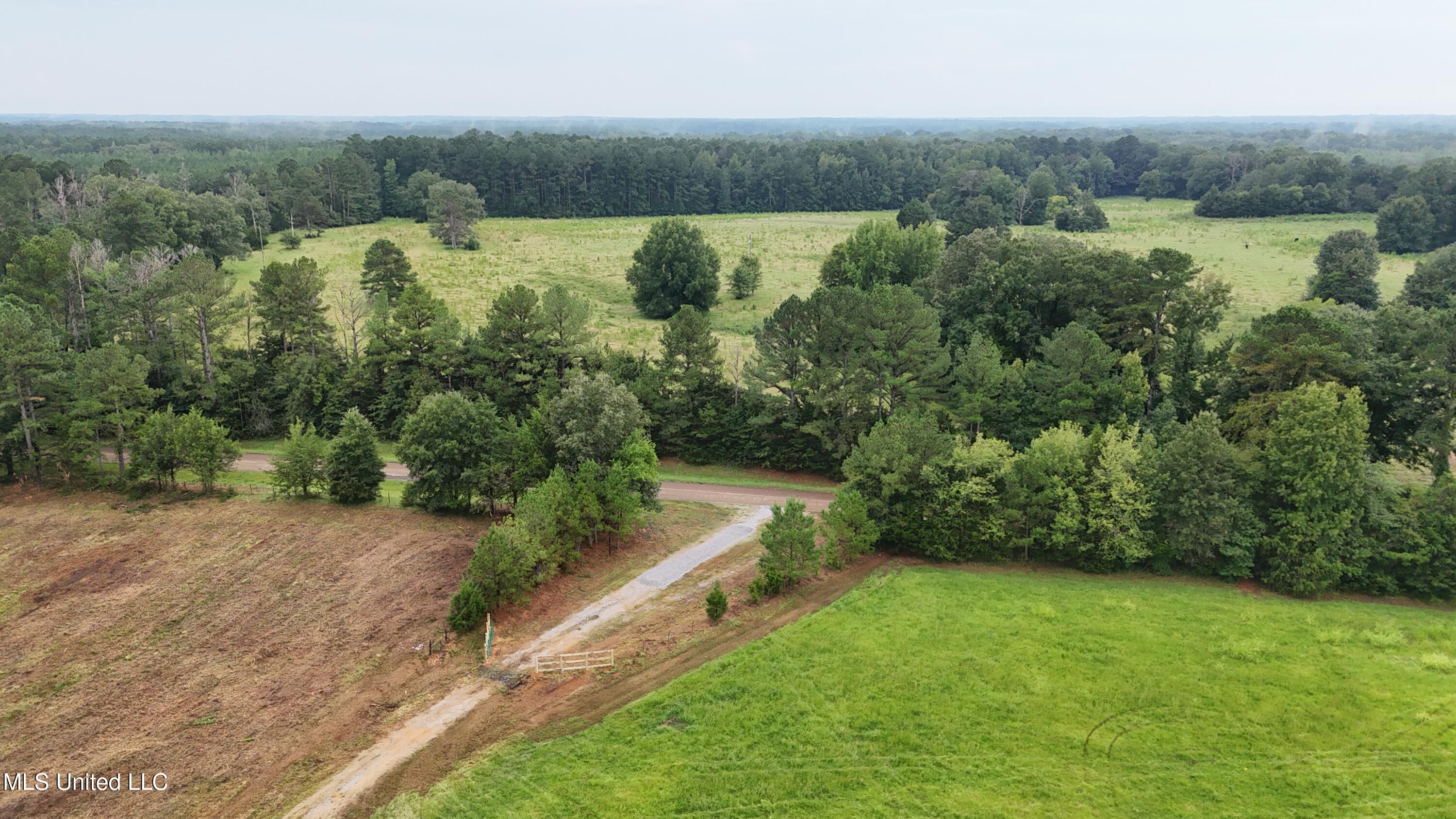 1 Sulphur Springs Road Canton, MS 39046 - Photo 20 of 30 dji_fly_20250820_164714_0230_17557277130