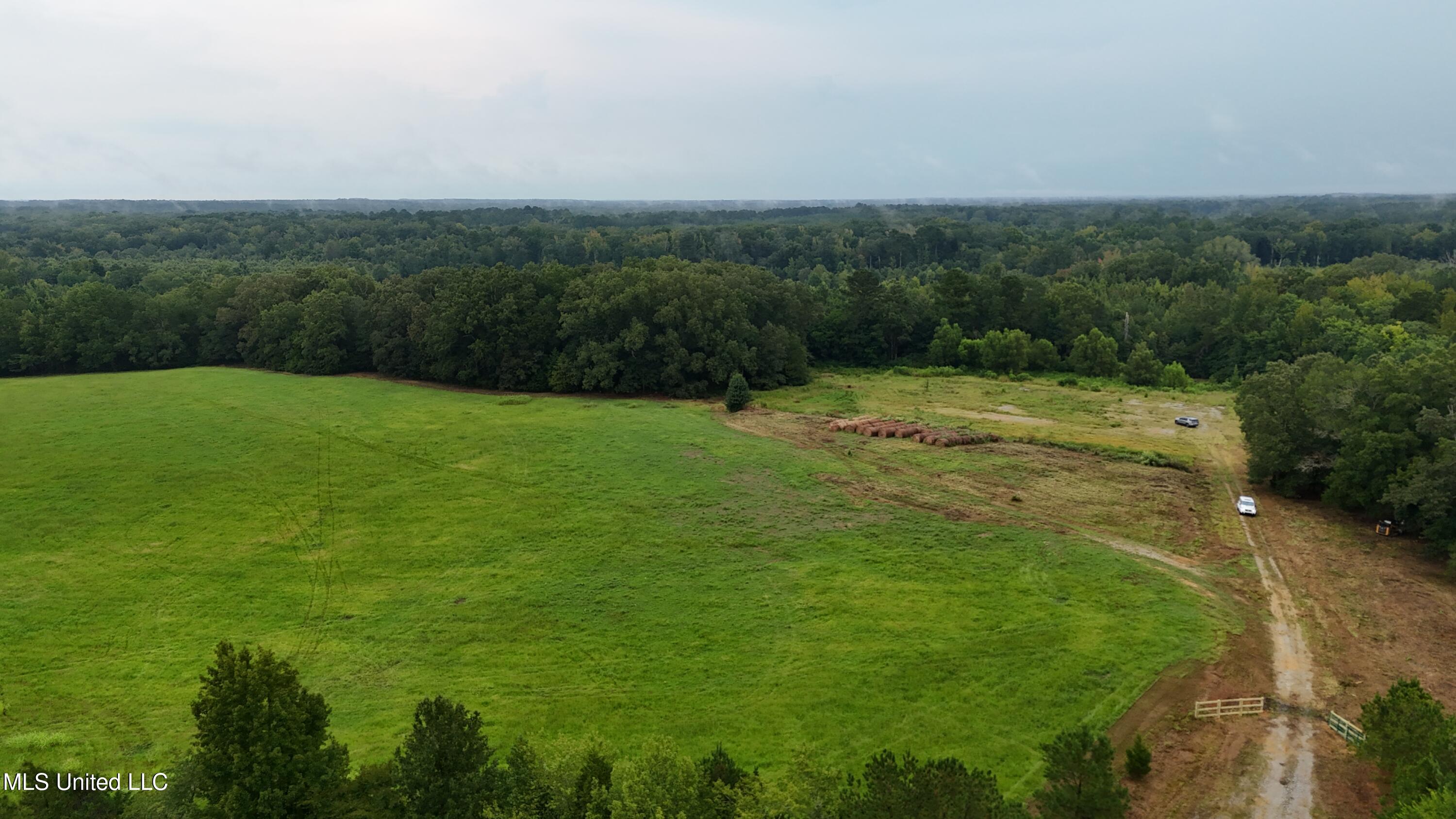 1 Sulphur Springs Road Canton, MS 39046 - Photo 22 of 30 dji_fly_20250820_164842_0231_17557277127