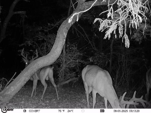 1 Sulphur Springs Road Canton, MS 39046 - Photo 4 of 30 ReactNativeBlobUtilTmp_ngy89t8jmce3wqob7