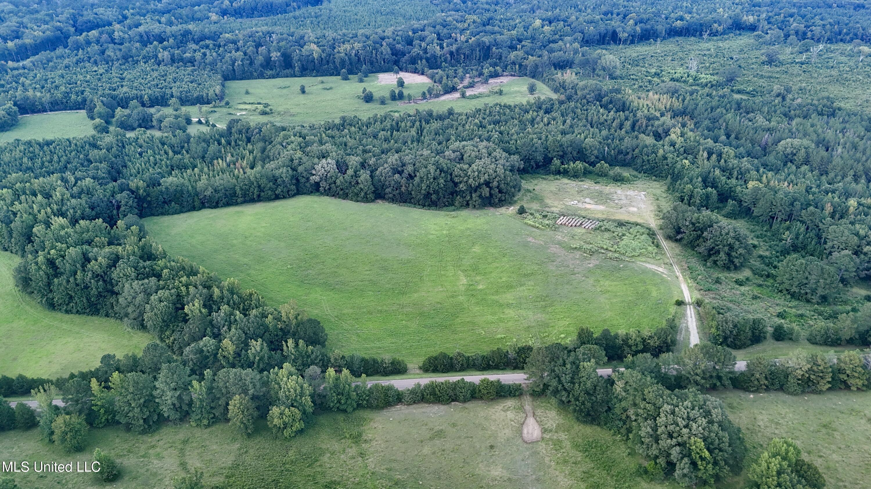 1 Sulphur Springs Road Canton, MS 39046 - Photo 5 of 30 dji_fly_20250817_193450_0189_17554821485