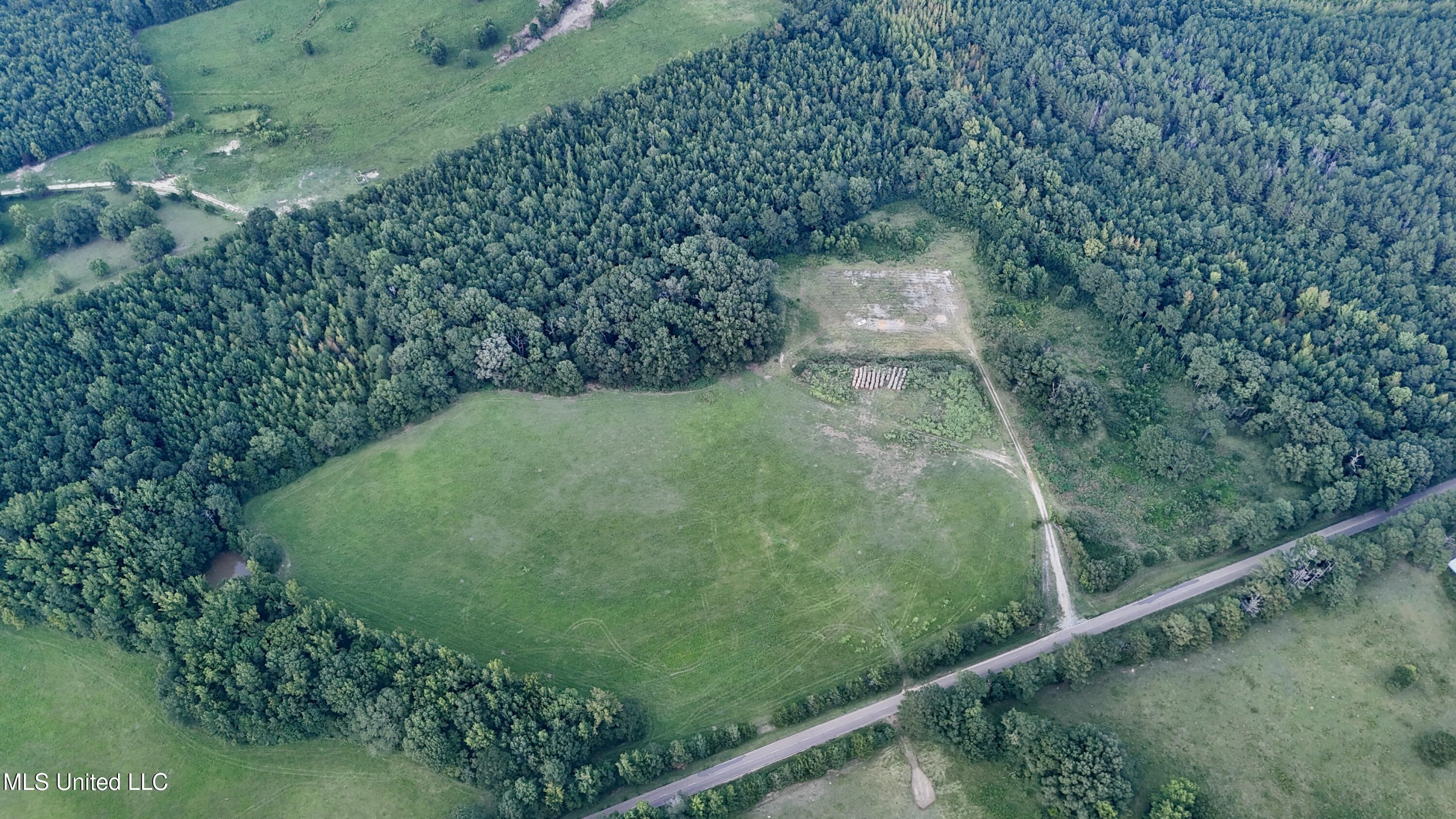 1 Sulphur Springs Road Canton, MS 39046 - Photo 6 of 30 dji_fly_20250817_193756_0199_17554821434