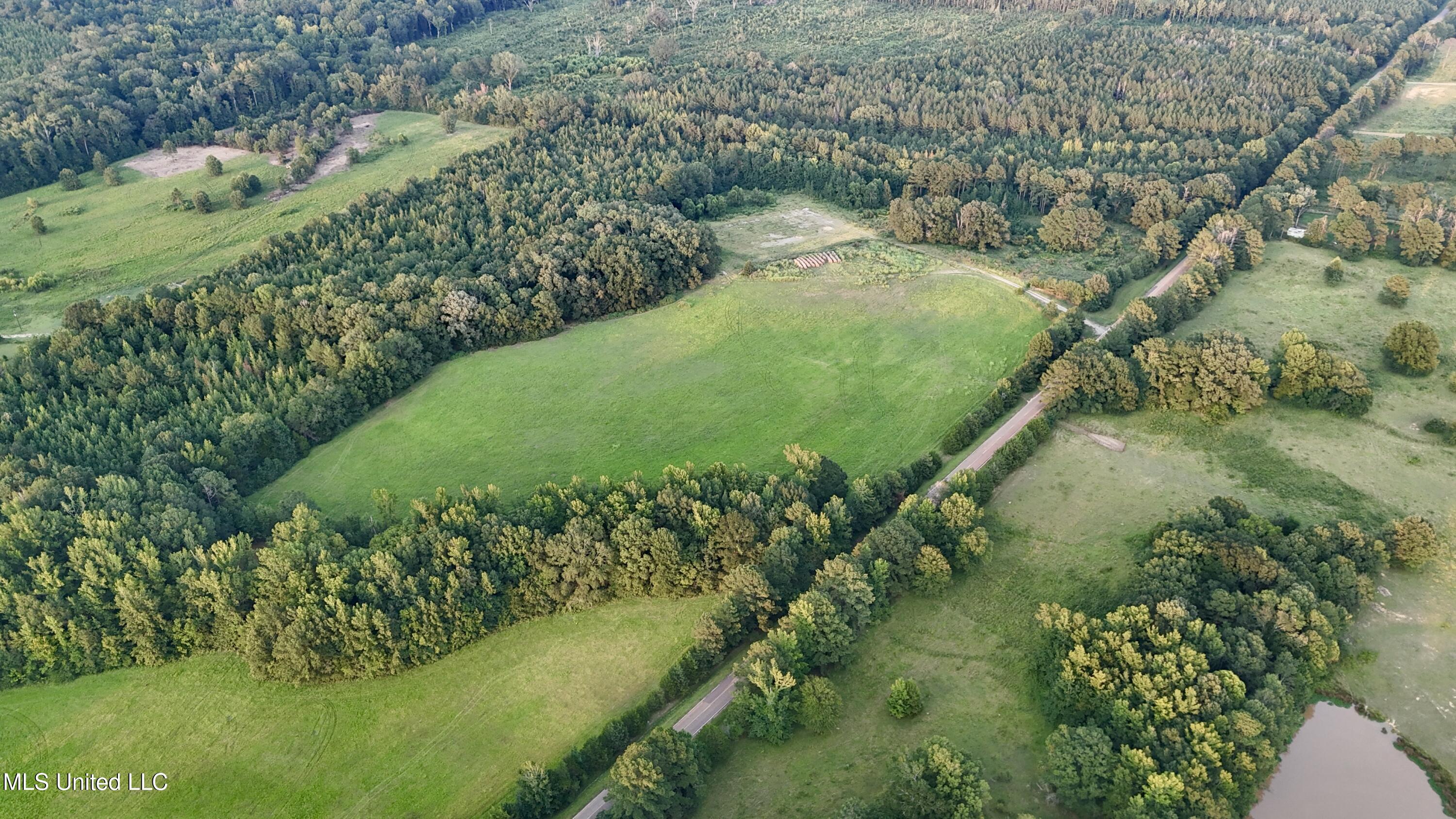 1 Sulphur Springs Road Canton, MS 39046 - Photo 7 of 30 dji_fly_20250817_191348_0166_17554821588