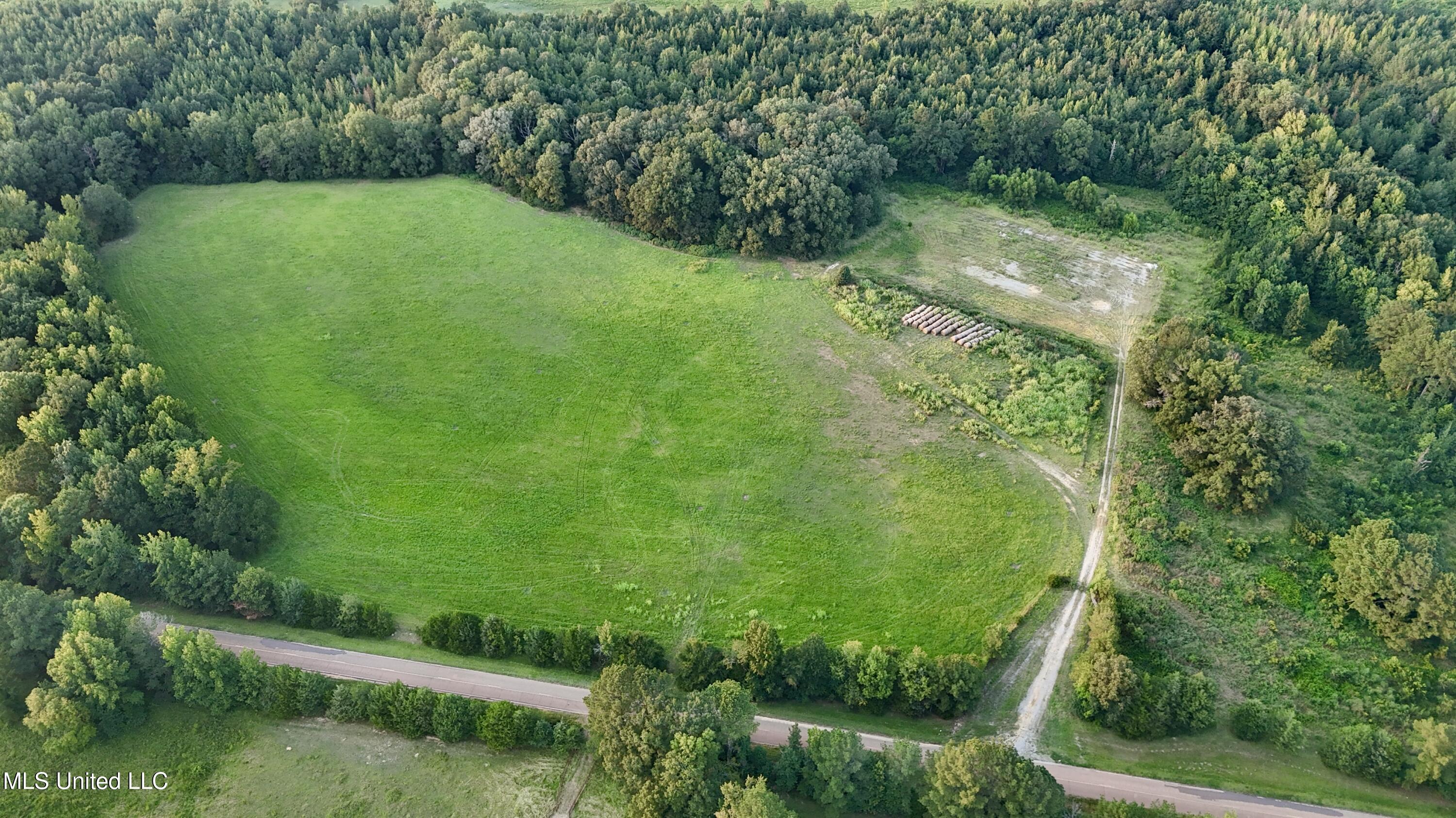 1 Sulphur Springs Road Canton, MS 39046 - Photo 8 of 30 dji_fly_20250817_191438_0167_17554821581