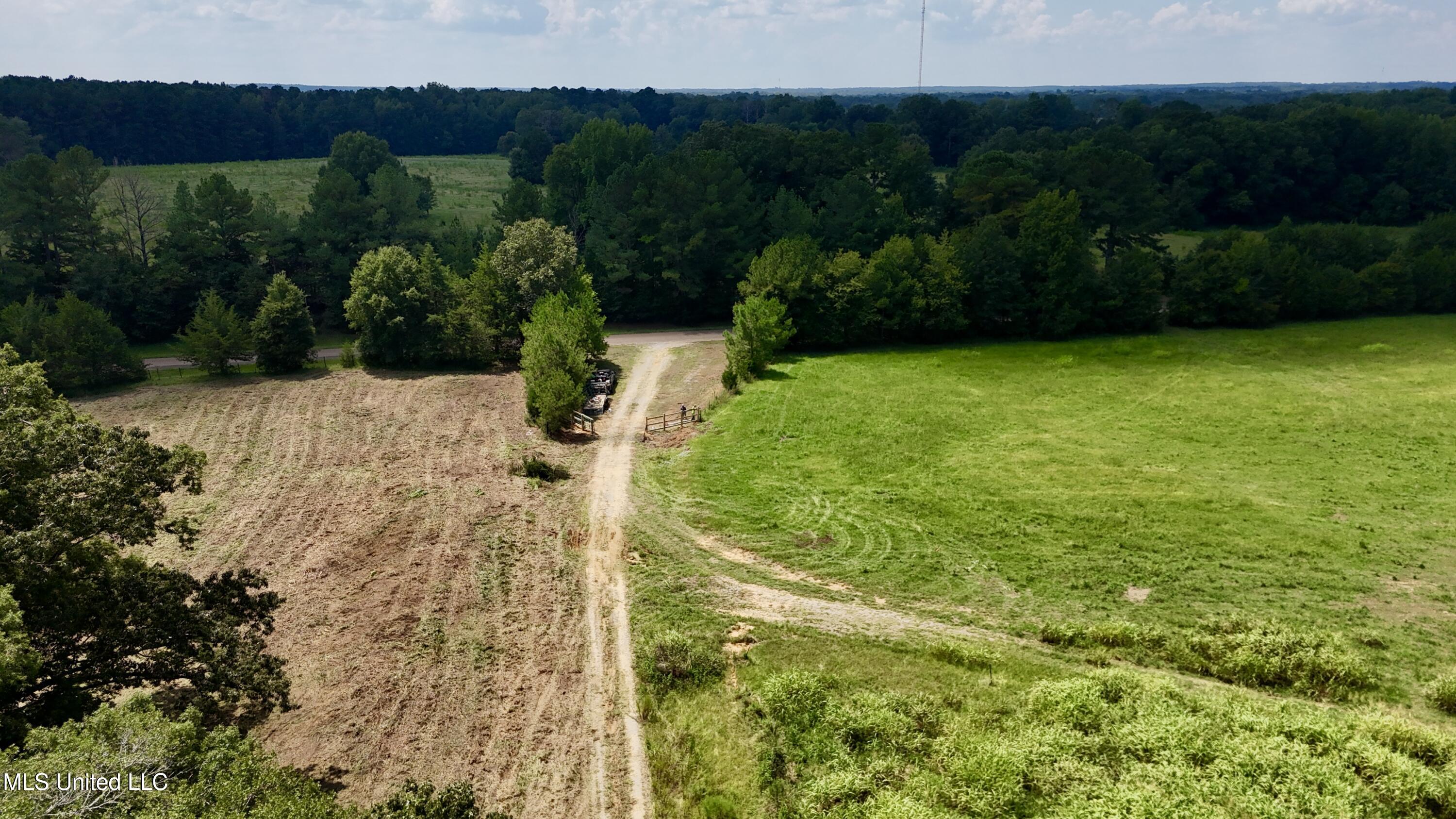 1 Sulphur Springs Road Canton, MS 39046 - Photo 10 of 30 dji_fly_20250819_121646_0219_17556243195