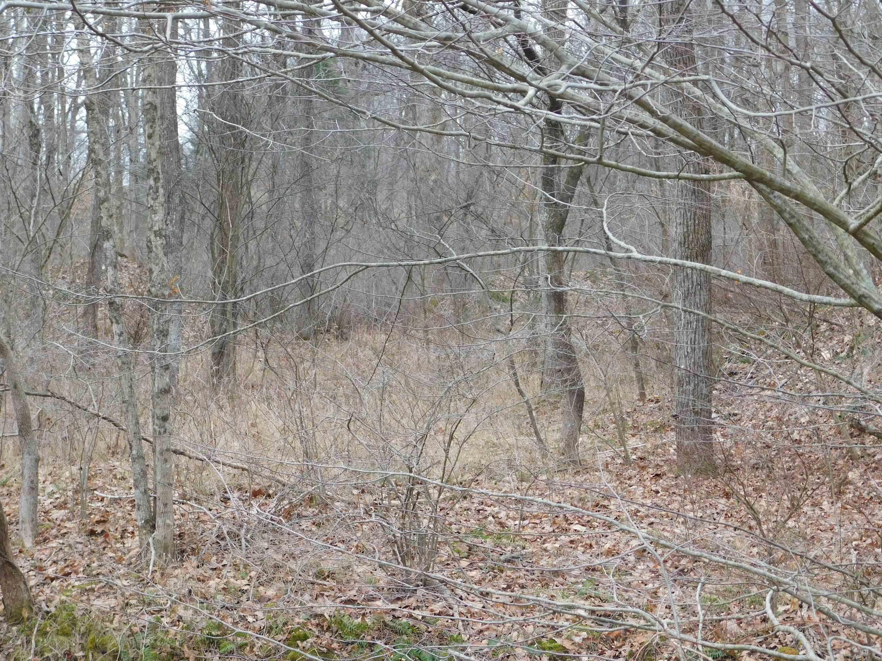 South Bowers Knob Road Pekin, IN 47165 - Photo 12 of 12 Gallery Image 12