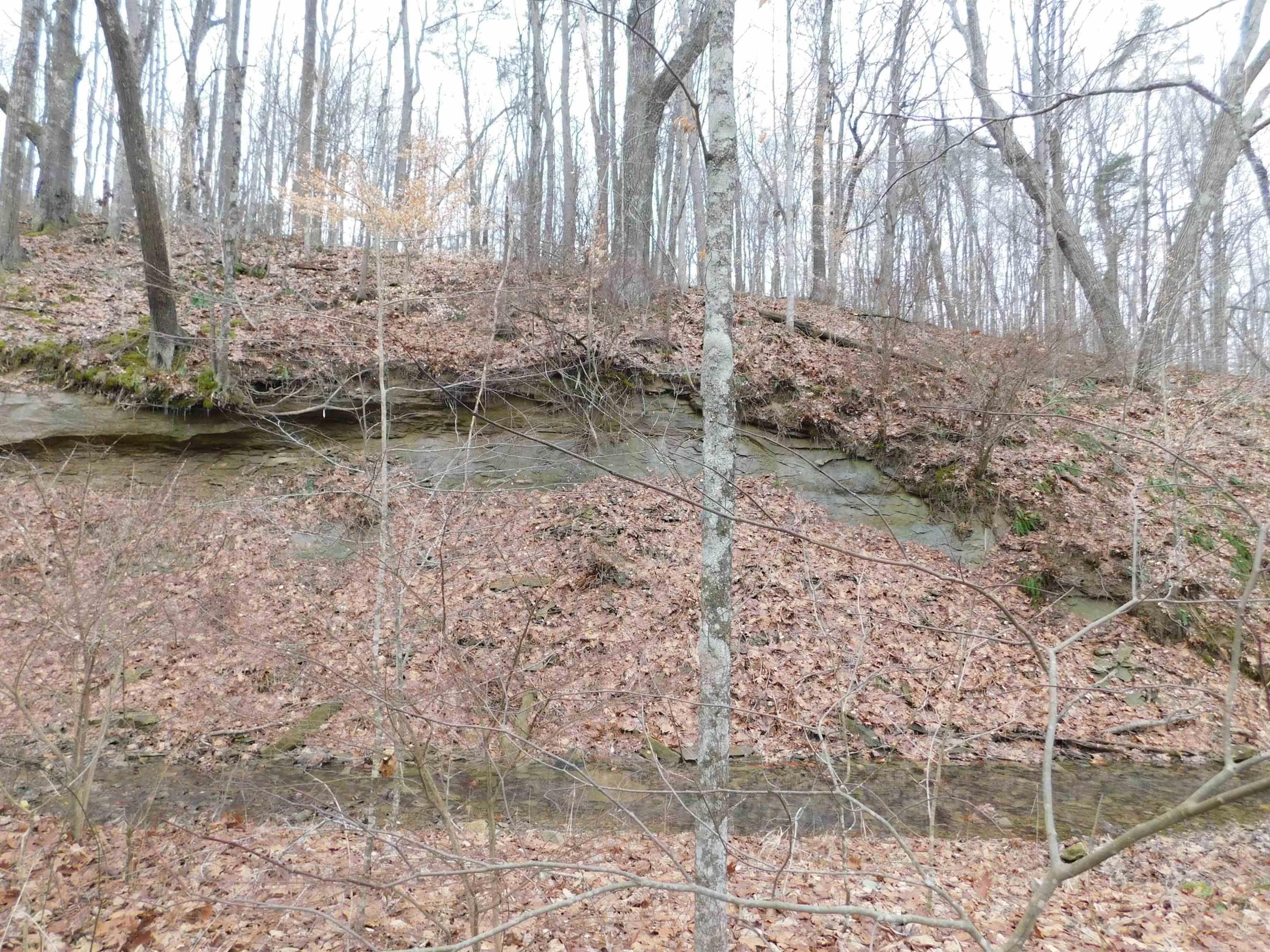 South Bowers Knob Road Pekin, IN 47165 - Photo 10 of 12 Gallery Image 10