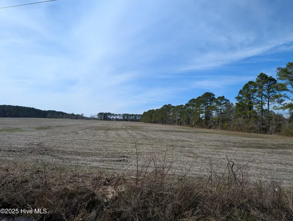 $1,200,000 | 522 Battle Lane, Trenton, NC 28585