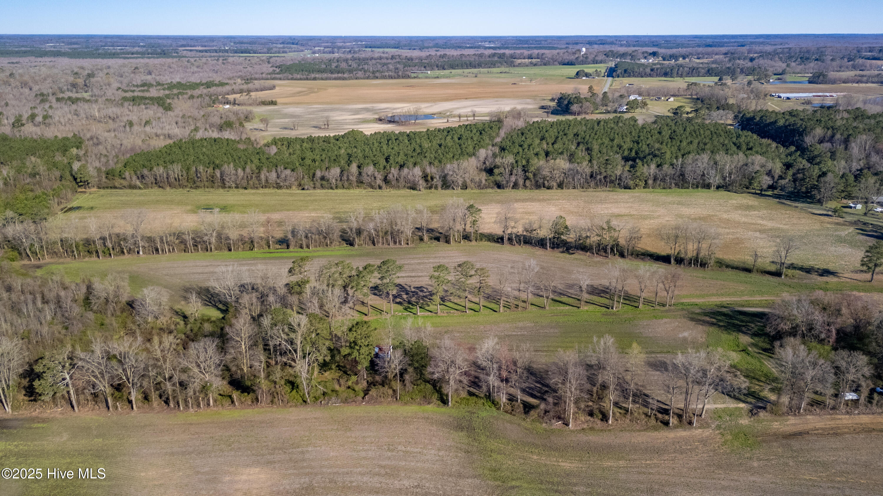 1-DJI_20250318093224_0091_D-HDR