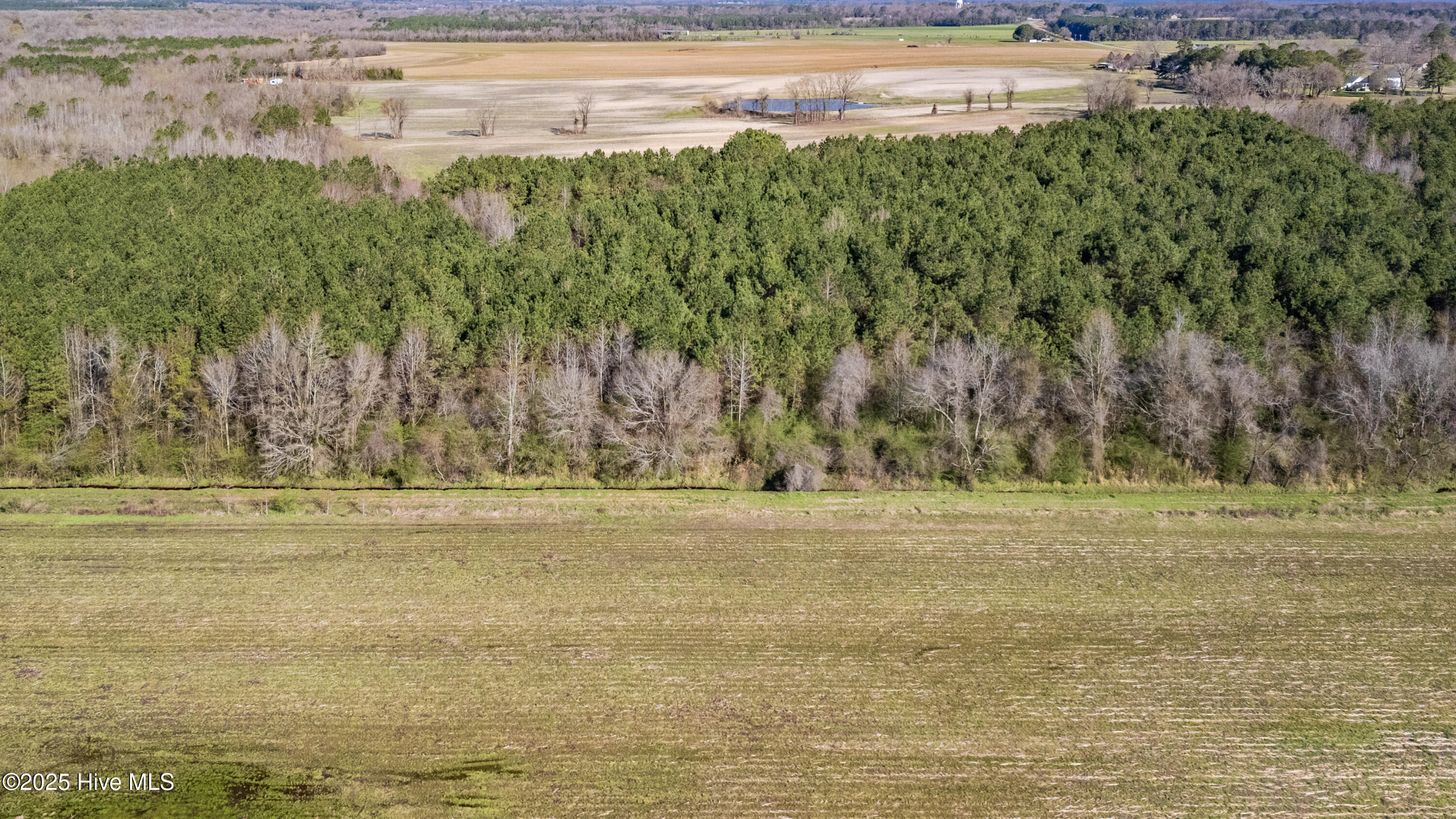 0 North Williams Road Kenansville, NC 28349 - Photo 20 of 41 21-DJI_20250318100725_0136_D-HDR