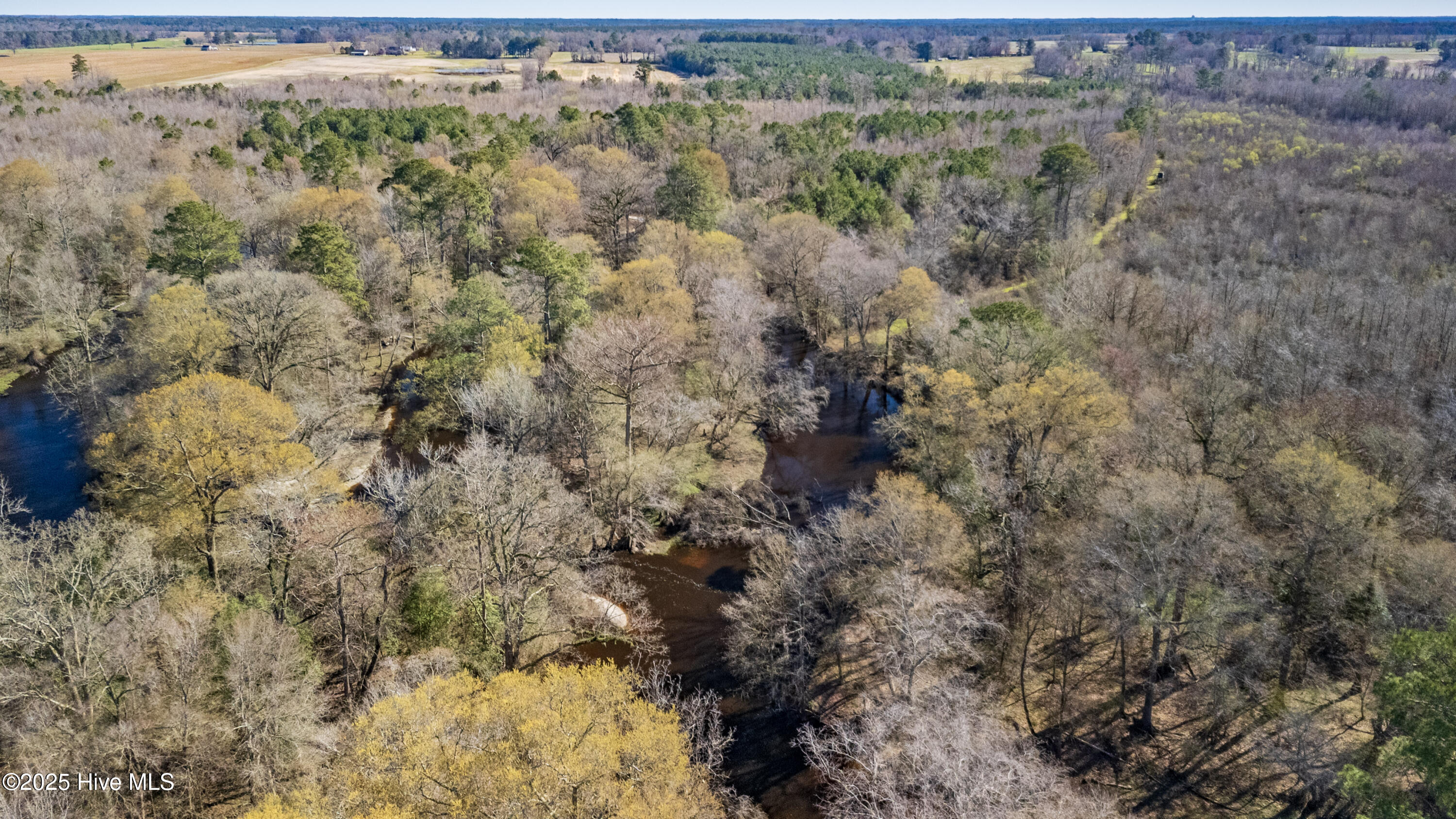 0 North Williams Road Kenansville, NC 28349 - Photo 25 of 41 26-DJI_20250318101003_0151_D-HDR