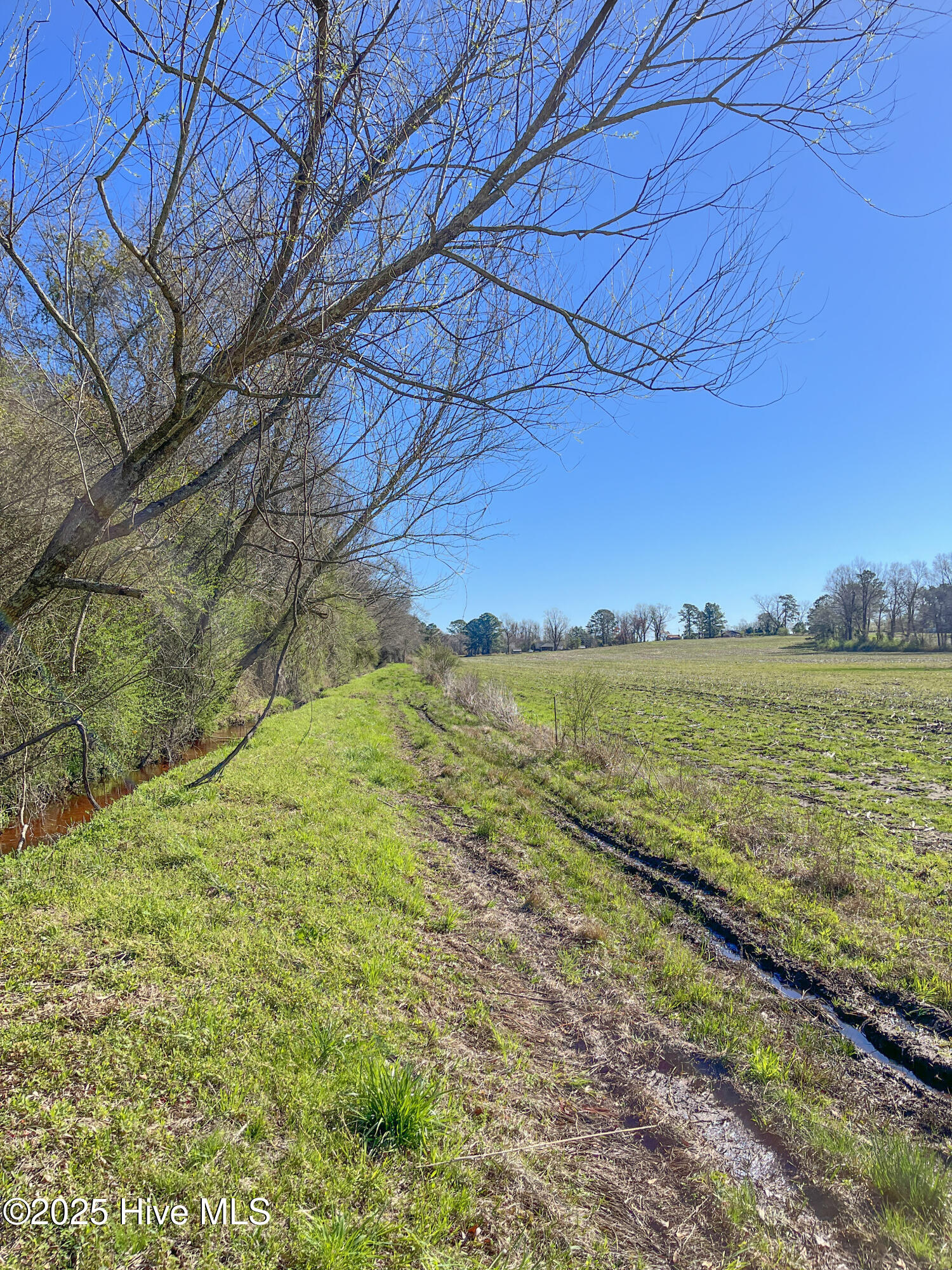0 North Williams Road Kenansville, NC 28349 - Photo 27 of 41 28-IMG_6411