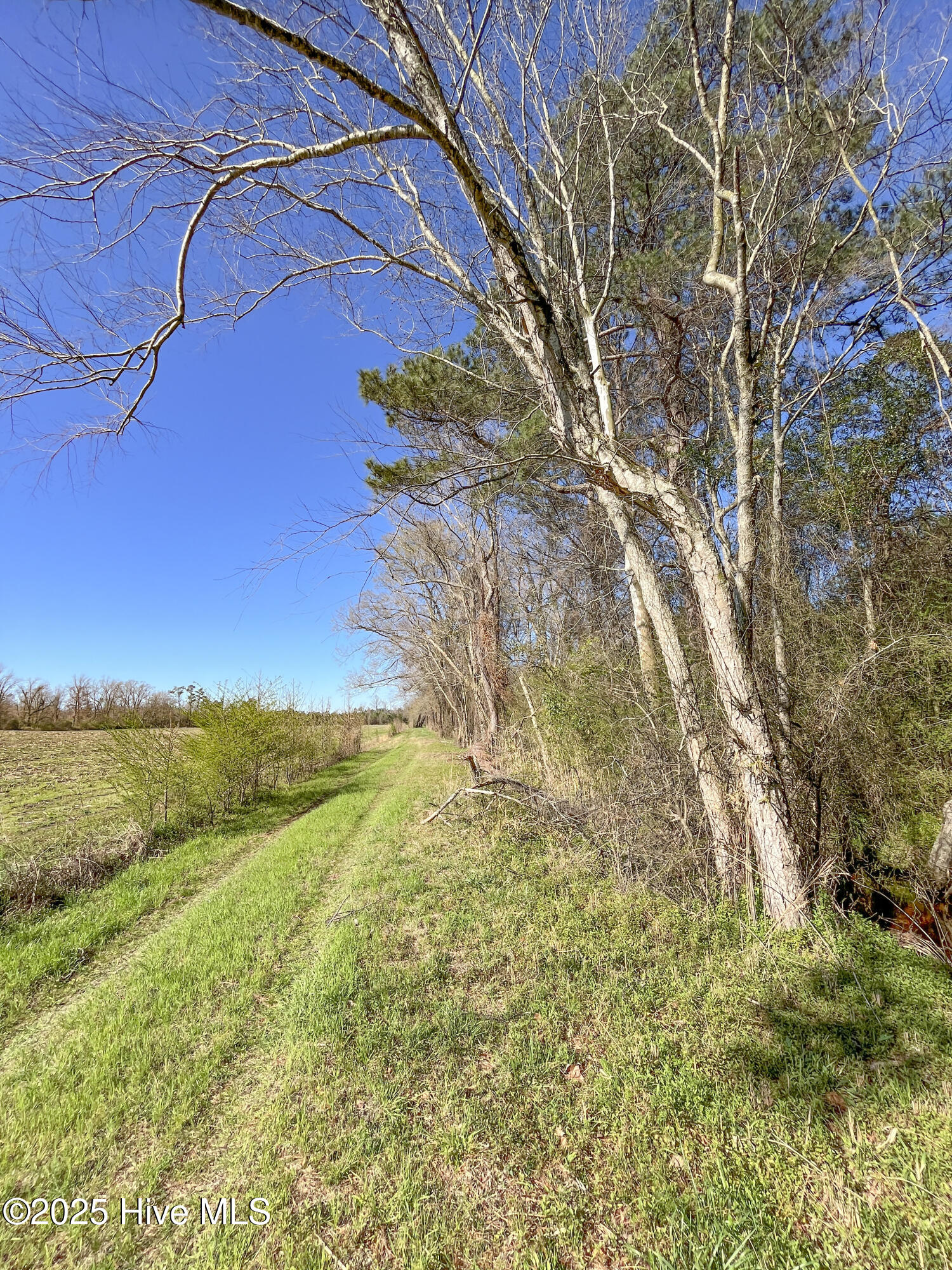 0 North Williams Road Kenansville, NC 28349 - Photo 36 of 41 37-IMG_6419