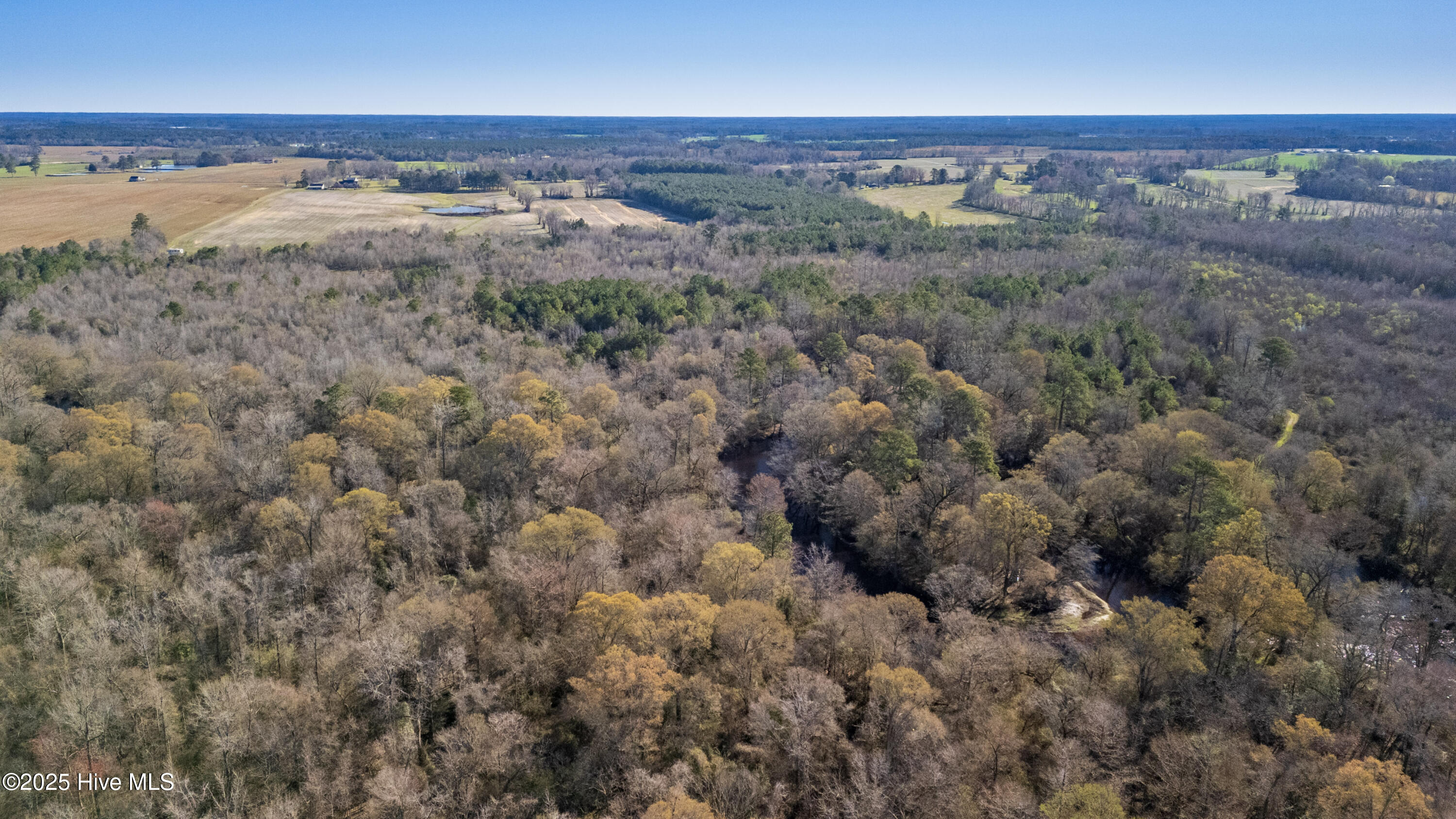 5-DJI_20250318093914_0097_D-HDR
