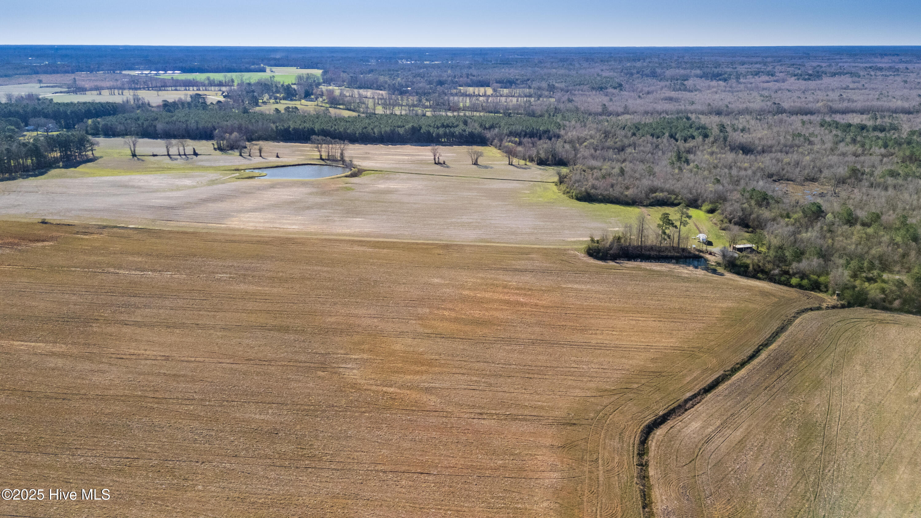 6-DJI_20250318095617_0100_D-HDR