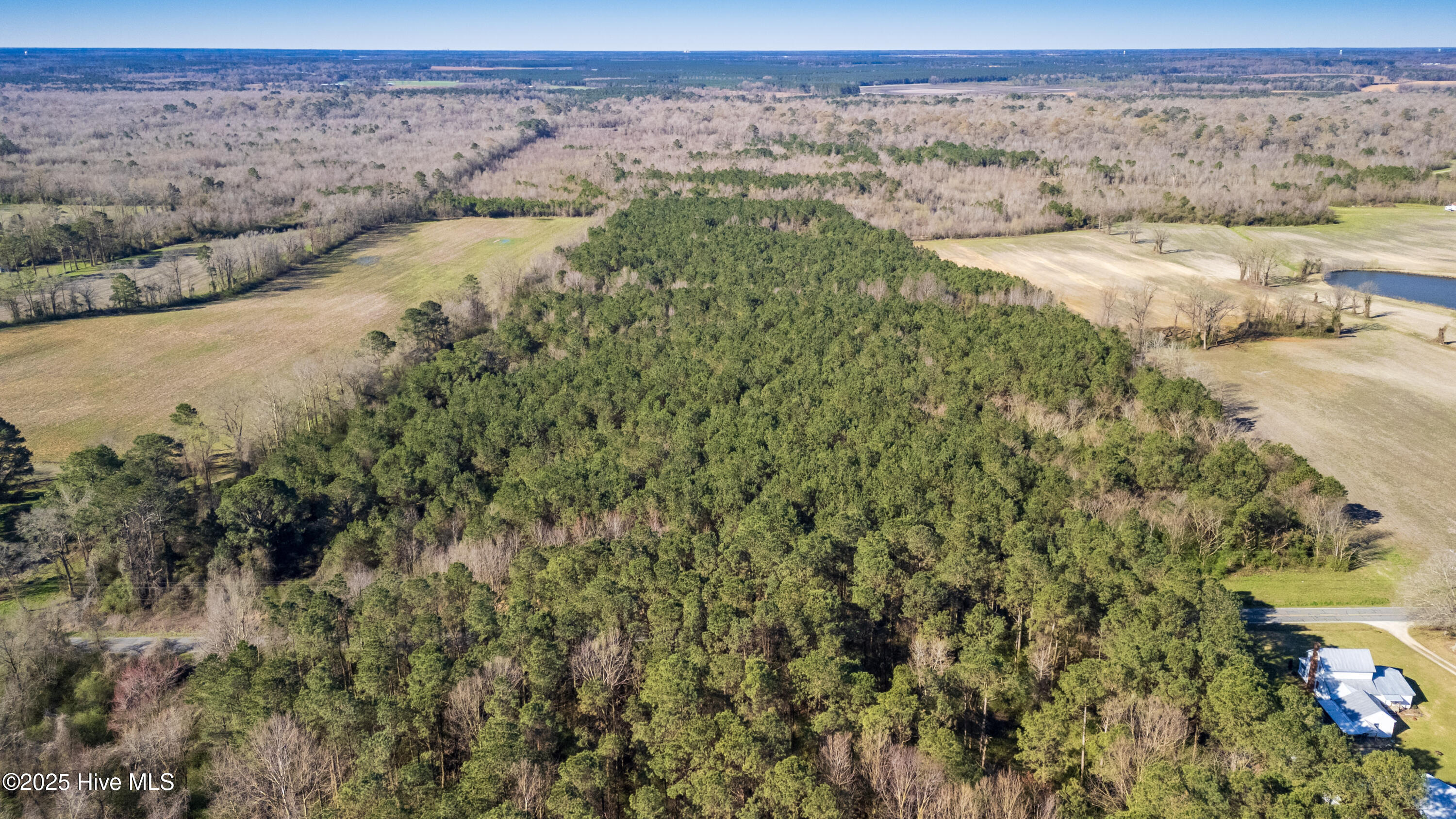0 North Williams Road Kenansville, NC 28349 - Photo 10 of 41 11-DJI_20250318095946_0109_D-HDR