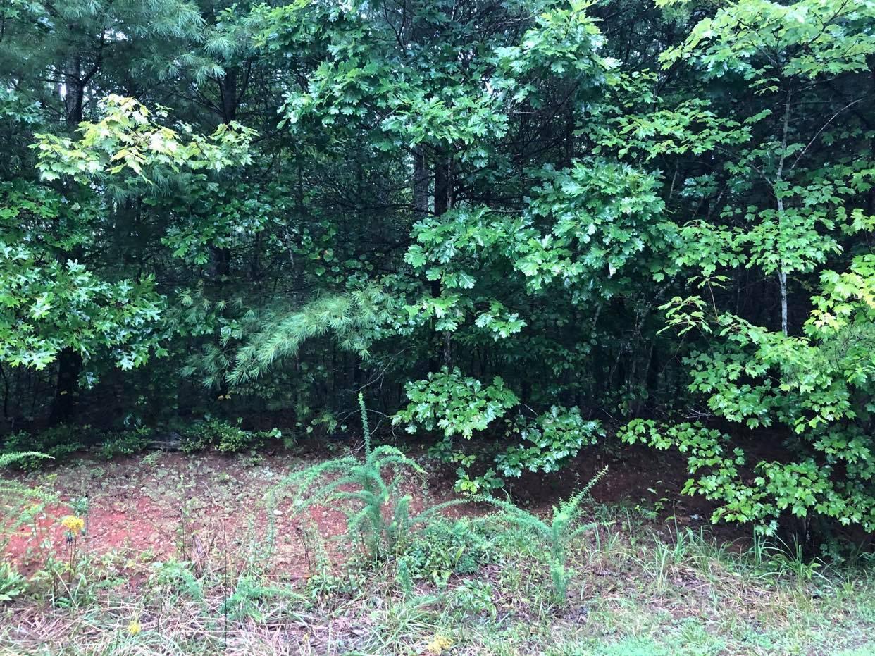 Lot 32 Blue Ridge Lane Monroe, VA 24574 - Photo 3 of 7 3