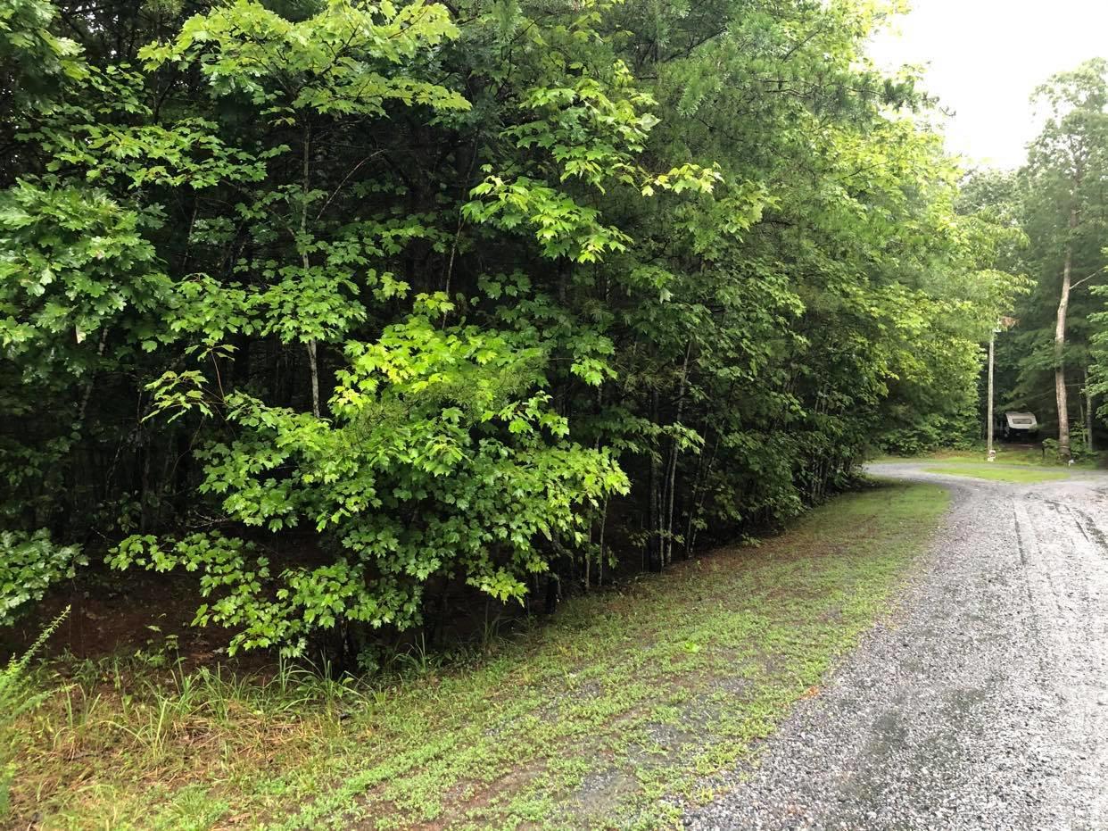 Lot 32 Blue Ridge Lane Monroe, VA 24574 - Photo 4 of 7 4