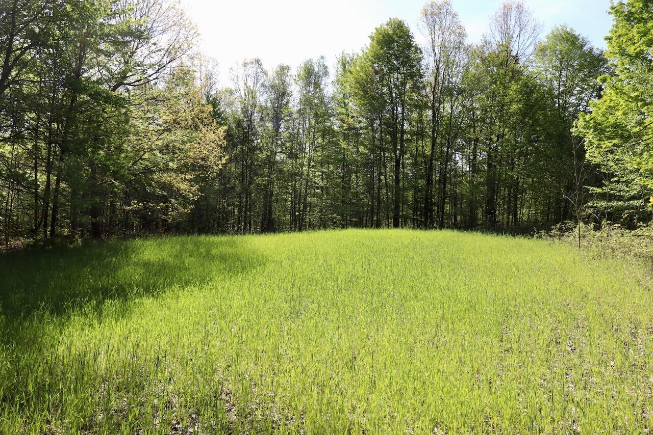 11547 1 Mile Road Leroy, MI 49655 - Photo 45 of 73 35_A