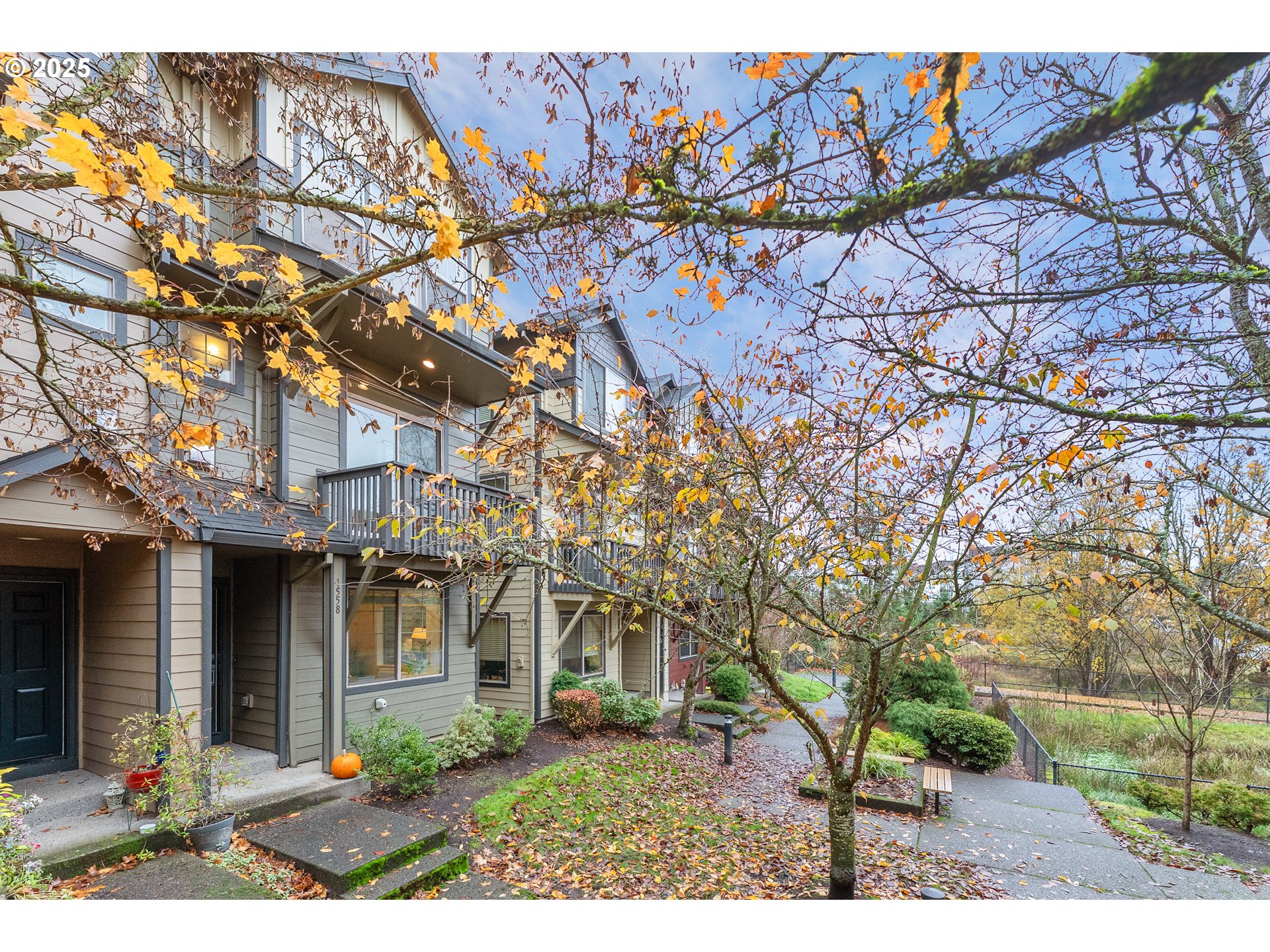 front view of a house with a tree