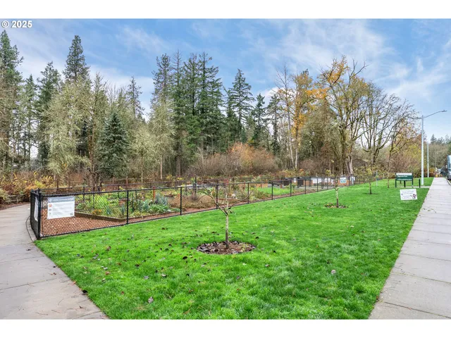 a view of a garden with an outdoor space