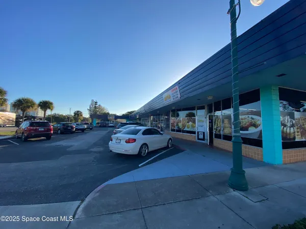 a view of a yard with plants and trees