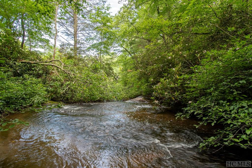 442 Rabun Branch Road Scaly Mountain, NC 28775 - Photo 30 of 41 Gallery Image 30