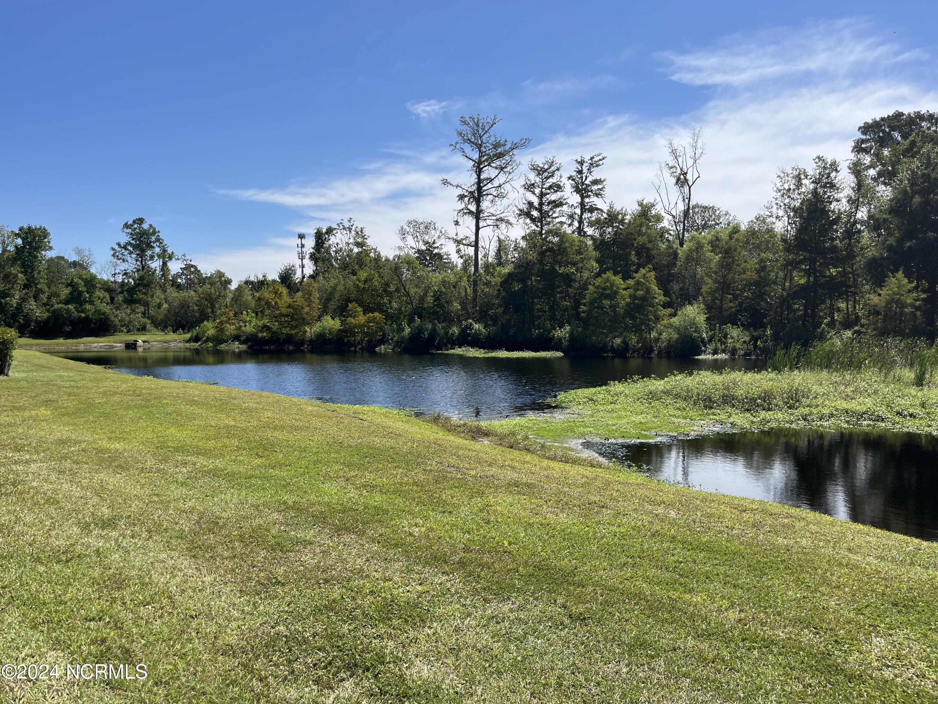 1504 Stones Edge Loop Road Wilmington, NC 28405 - Photo 54 of 60 Community Ponds