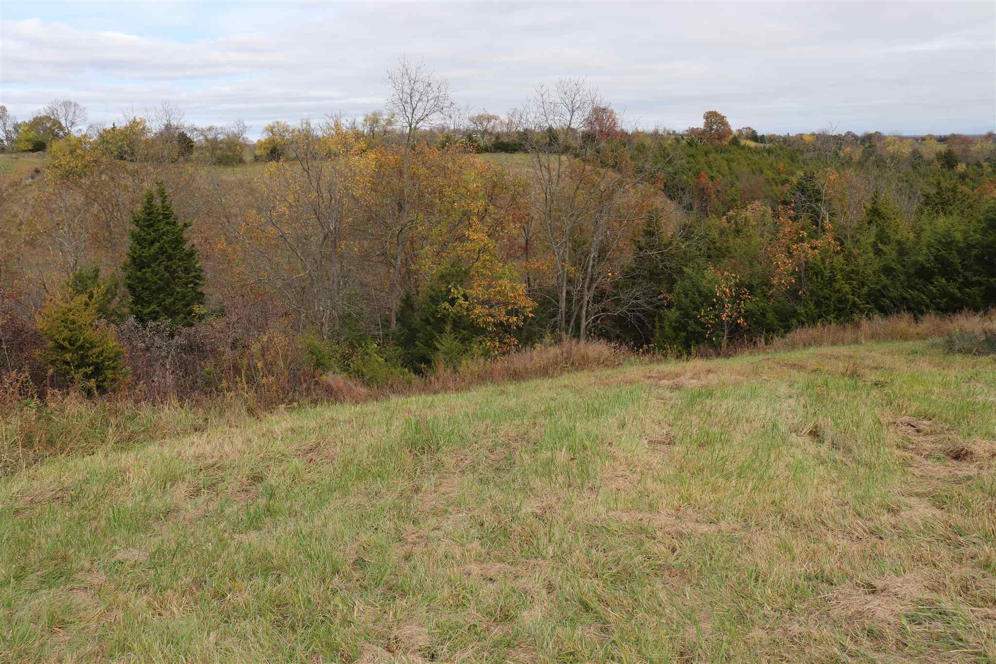 1944 Turner Ridge Road Falmouth, KY 41040 - Photo 41 of 49 Gallery Image 41