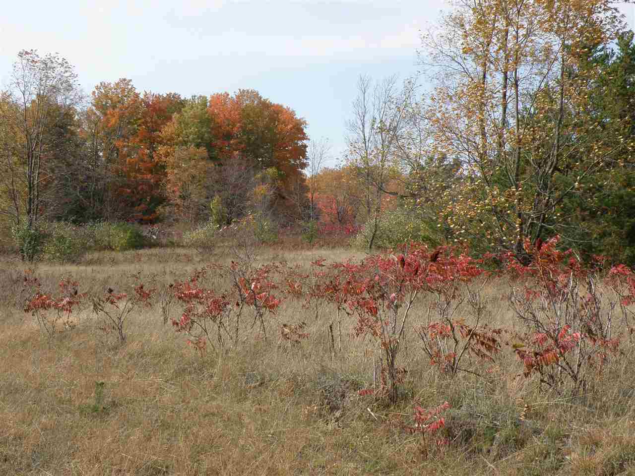 16 Roberts Road Beulah, MI 49617 - Photo 1 of 18 1824993.JPG