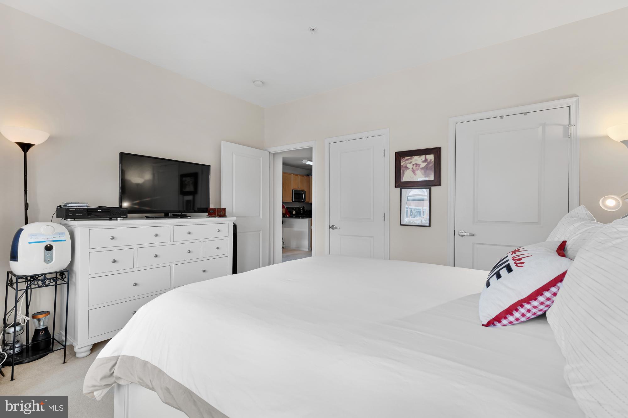 8045 Newell Street, Unit 503 Silver Spring, MD 20910 - Photo 13 of 24 Primary Bedroom