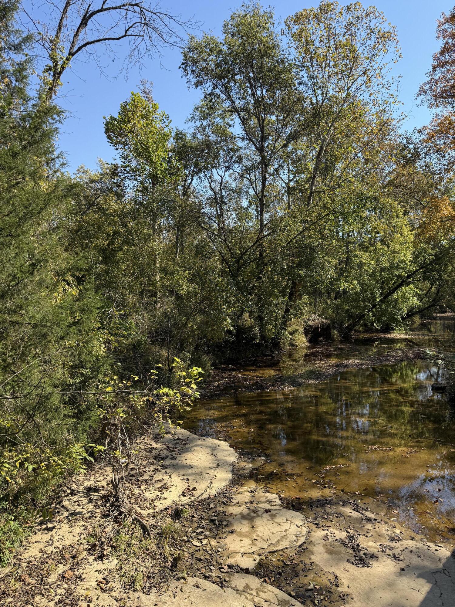 1660 Crocus Road Jamestown, KY 42629 - Photo 11 of 14 Crocus Creek...very near the property