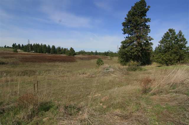 3300 North Lyons Road Spokane, WA 99224 - Photo 1 of 2