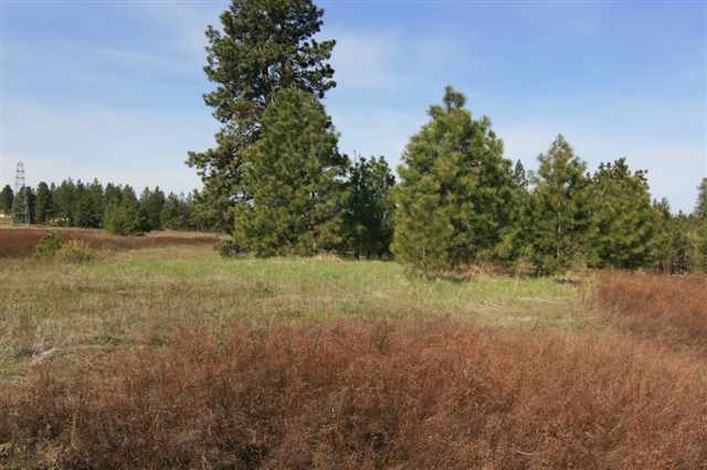 3300 North Lyons Road Spokane, WA 99224 - Photo 2 of 2