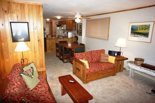 7 Powderidge Road Snowshoe, WV 26209 - Photo 2 of 17 Gallery Image 2