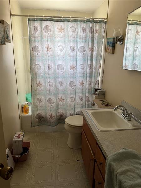 778 Katherine Street Rochester, PA 15074 - Photo 11 of 22 a bathroom with a sink a toilet and shower curtain