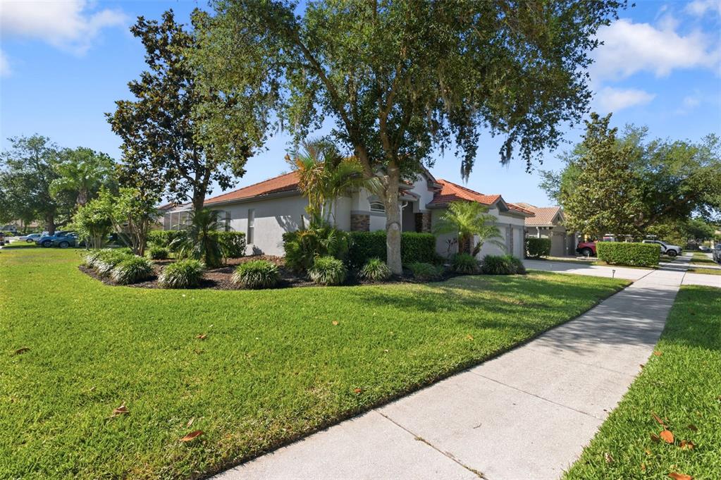 11508 Oyster Bay Circle New Port Richey, FL 34654 - Photo 6 of 98 a front view of a house with garden