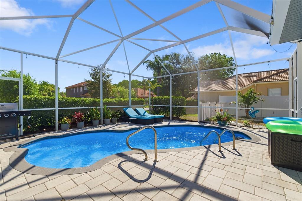 11508 Oyster Bay Circle New Port Richey, FL 34654 - Photo 71 of 98 a view of a backyard with swimming pool and sitting area