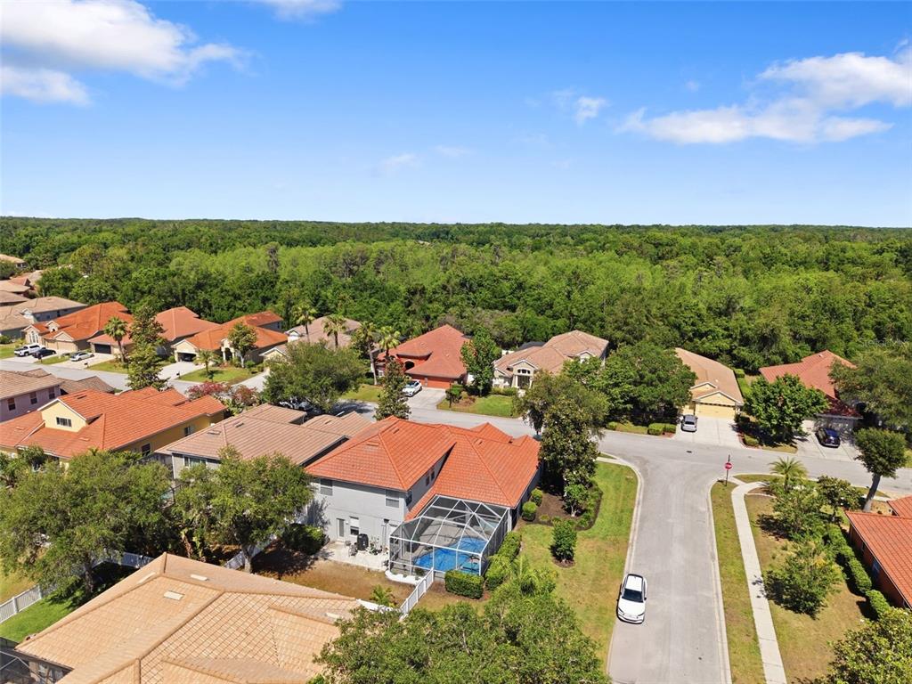 11508 Oyster Bay Circle New Port Richey, FL 34654 - Photo 79 of 98 an aerial view of residential houses with outdoor space and street view