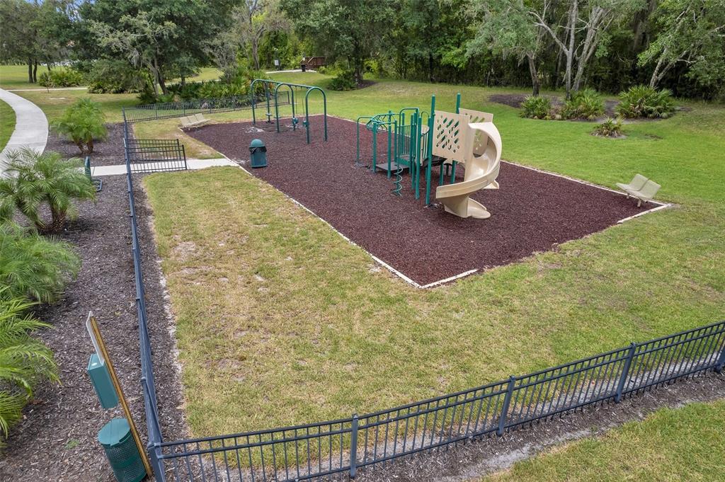 11508 Oyster Bay Circle New Port Richey, FL 34654 - Photo 90 of 98 a view of a swimming pool with a patio