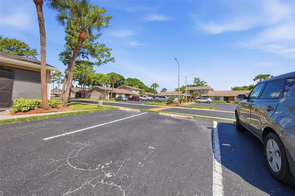 2131 Ridge Road South, Unit 105 Largo, FL 33778 - Photo 38 of 41