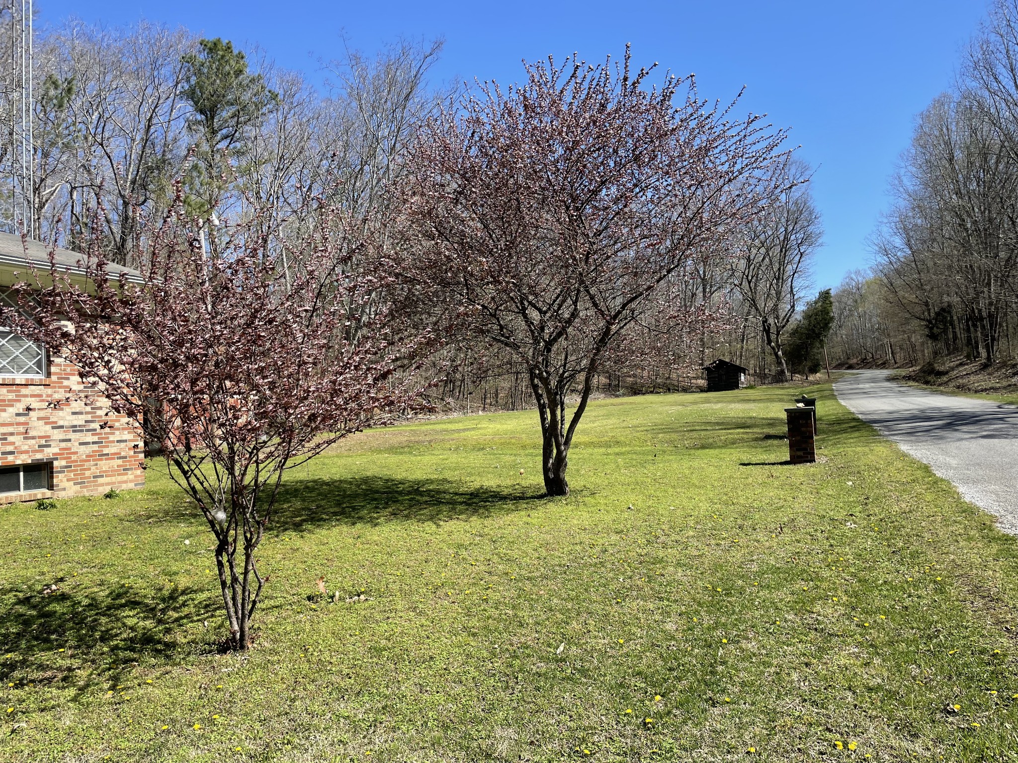 4495 New Hope Road Big Sandy, TN 38221 - Photo 6 of 12 Gallery Image 6