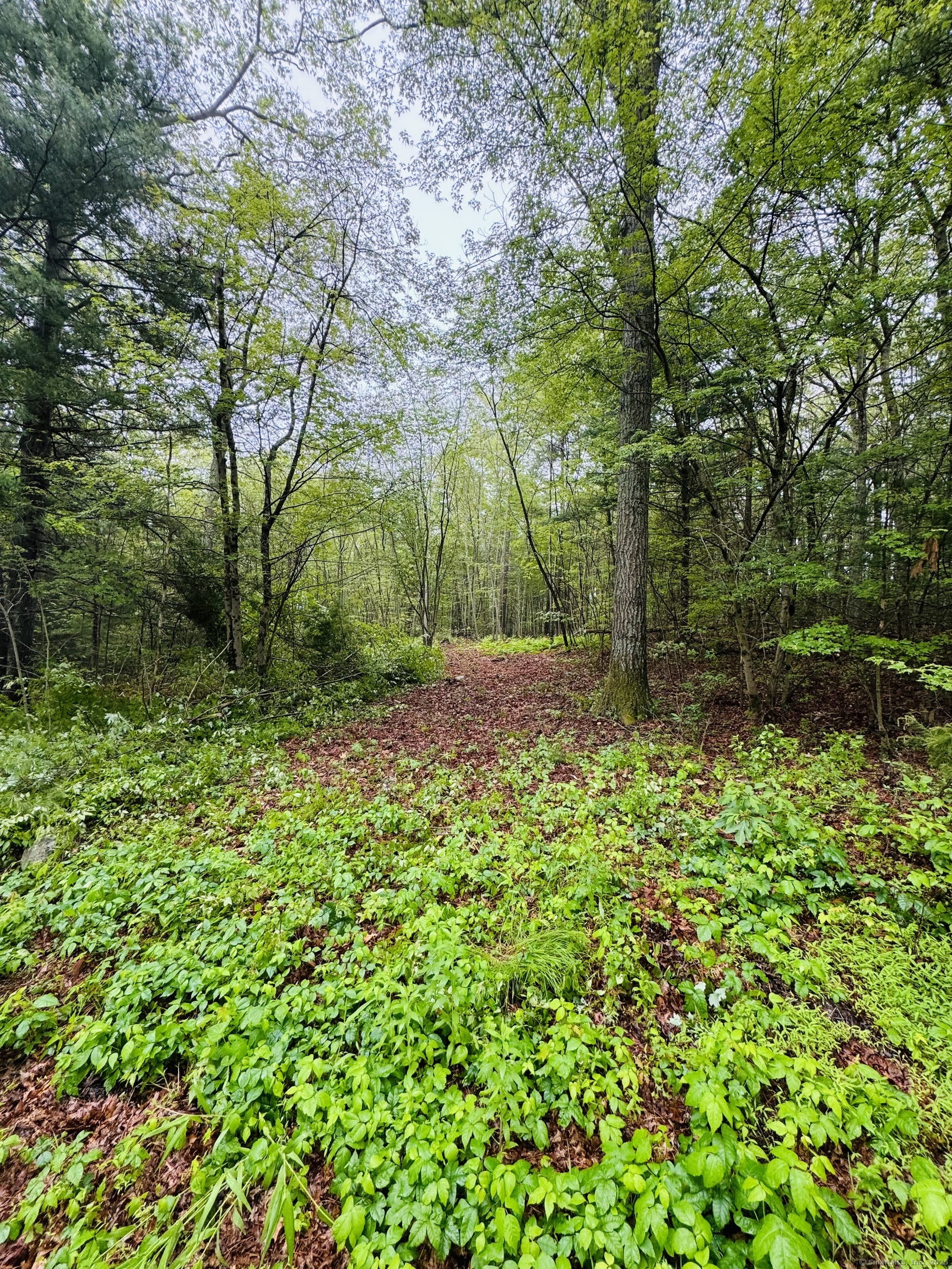 18 Ledge Hill Road Sterling, CT 06377 - Photo 2 of 3 a view of a yard