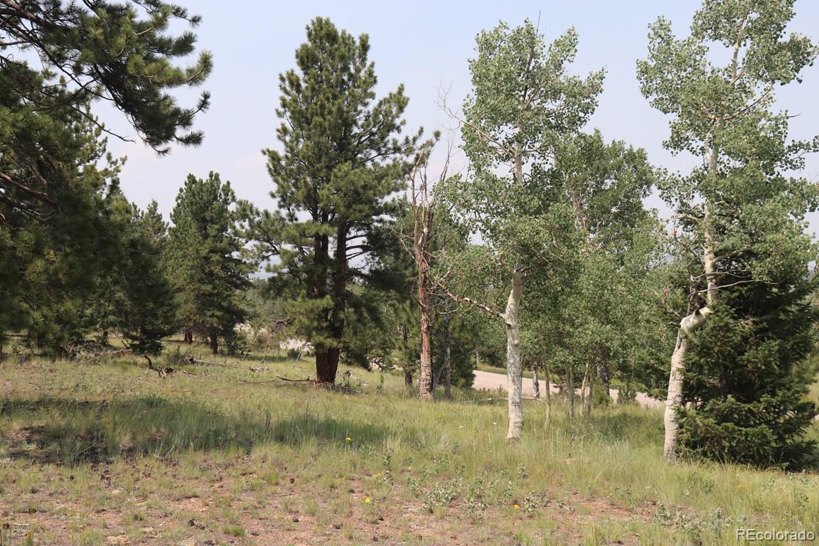 3330 Singletree Road Hartsel, CO 80449 - Photo 7 of 19