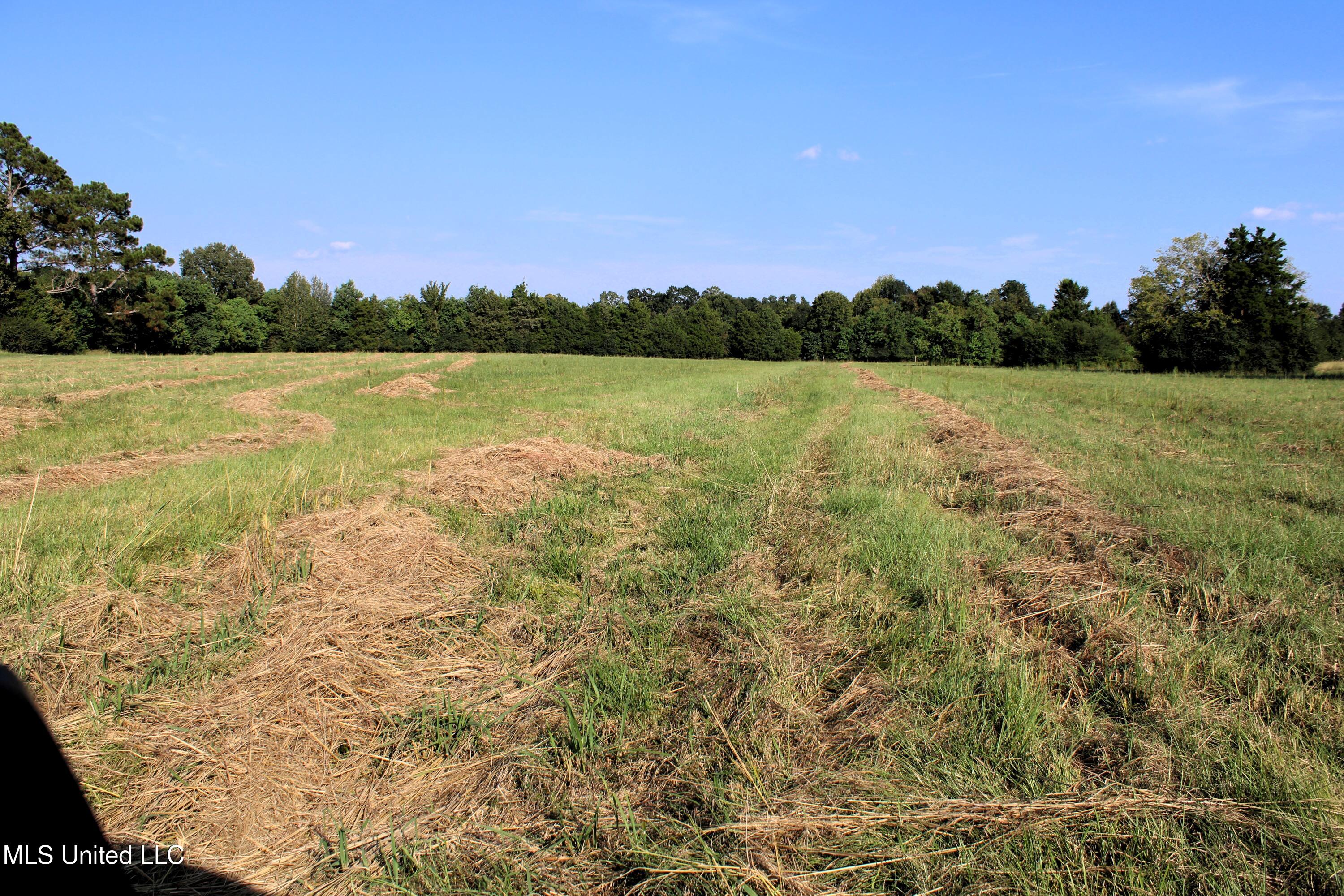 0 Smith-Carr Road Canton, MS 39046 - Photo 11 of 13 IMG_5012