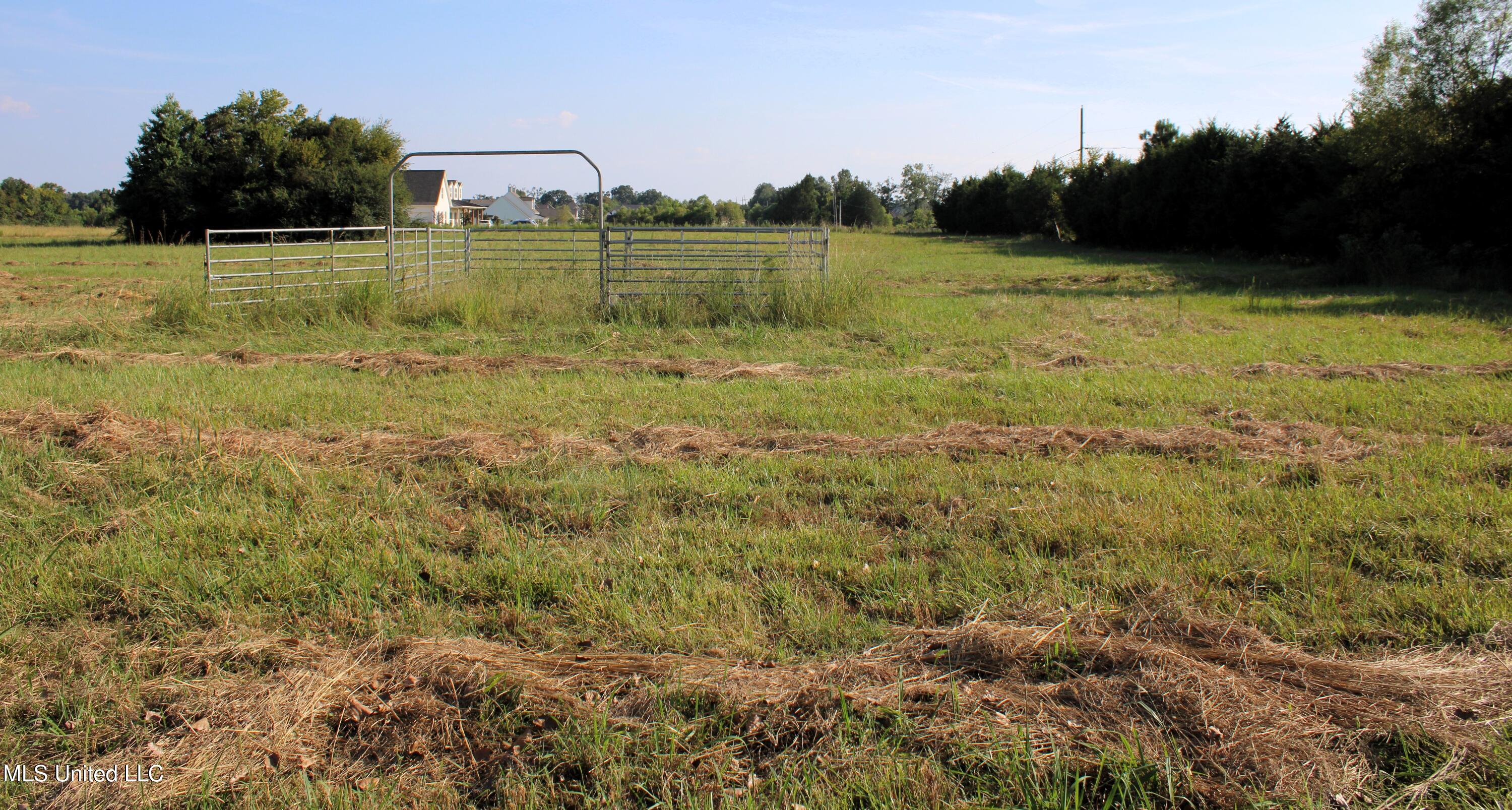 0 Smith-Carr Road Canton, MS 39046 - Photo 2 of 13 IMG_5003