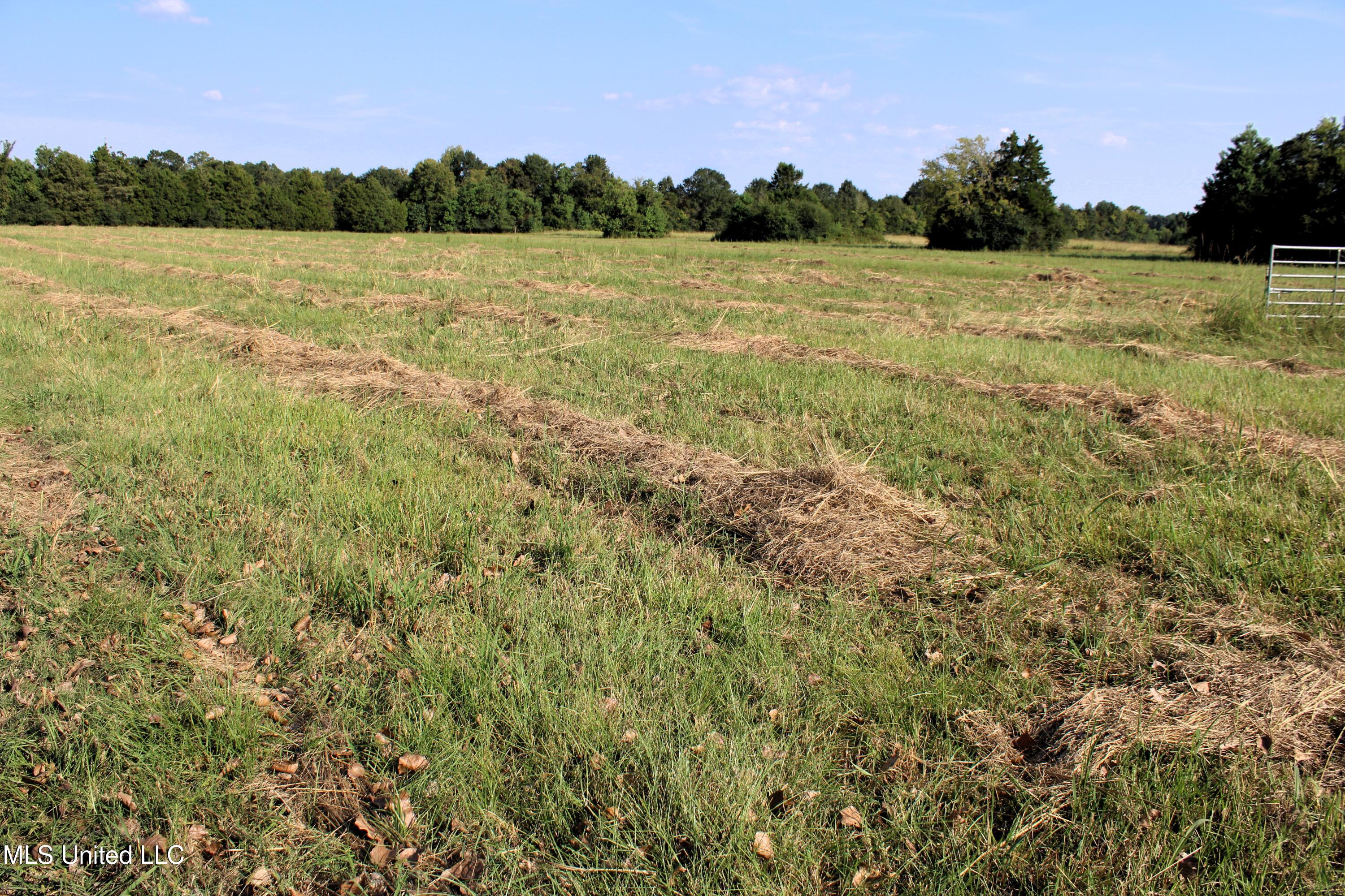 0 Smith-Carr Road Canton, MS 39046 - Photo 3 of 13 IMG_5004