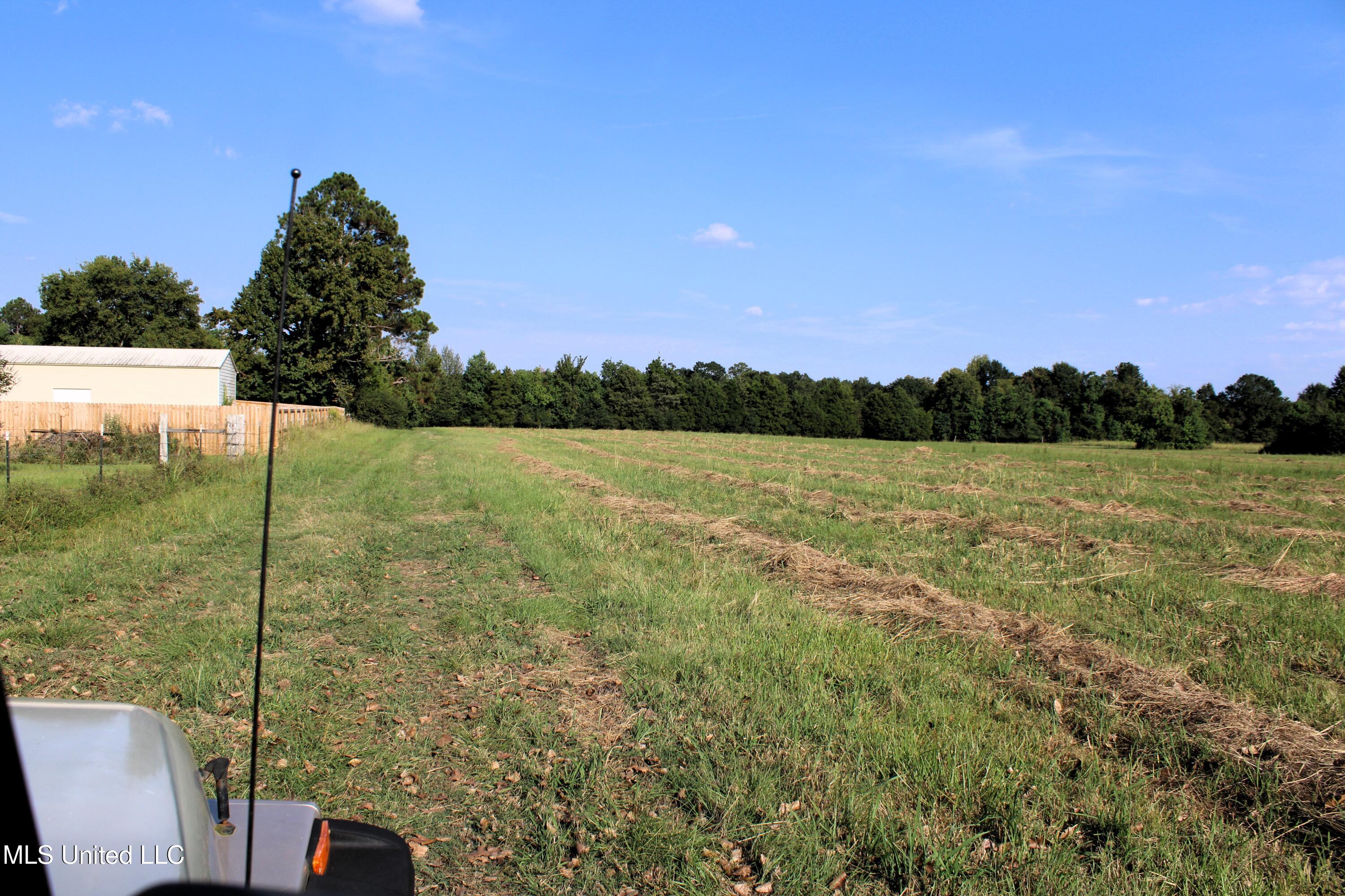 0 Smith-Carr Road Canton, MS 39046 - Photo 4 of 13 IMG_5005