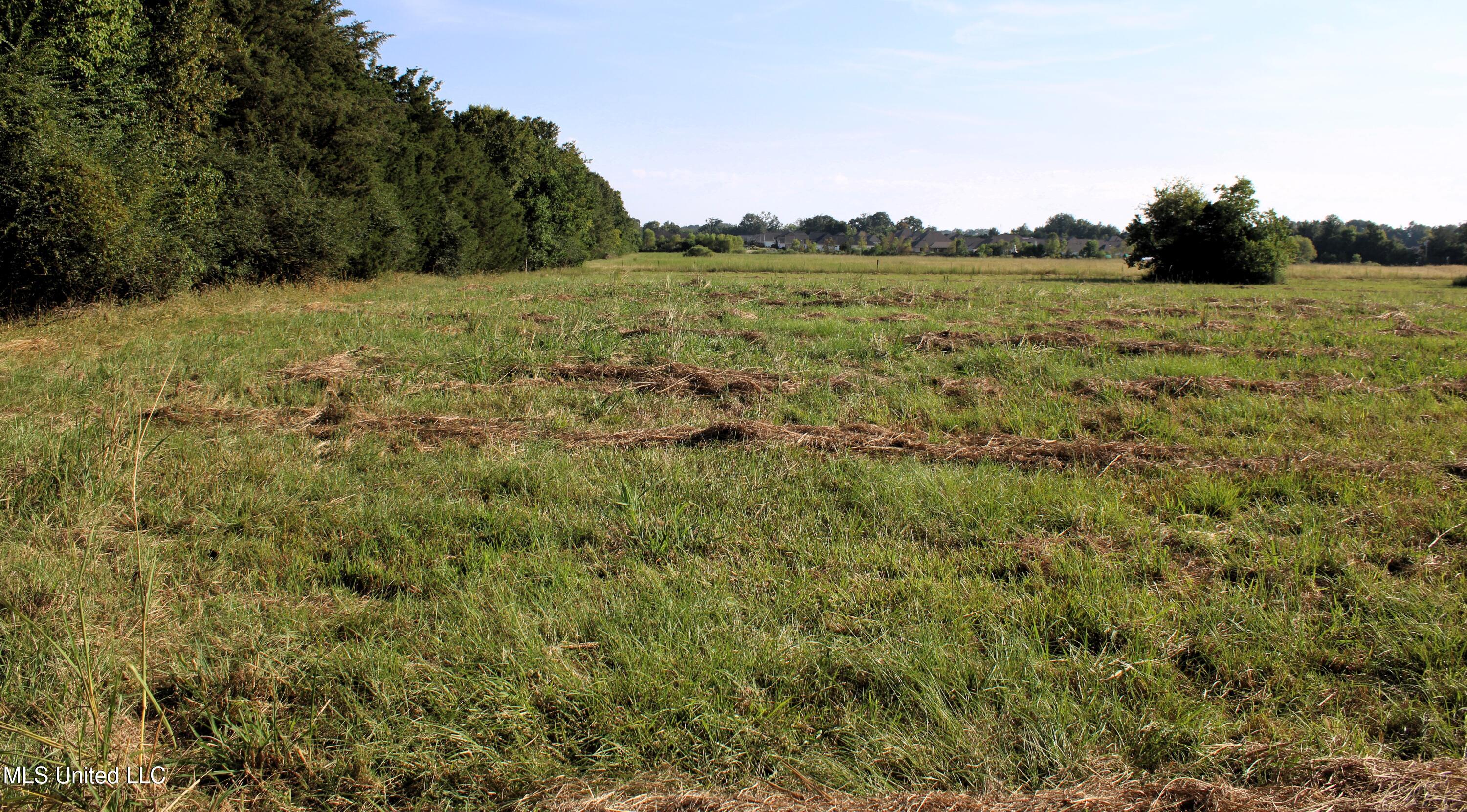 0 Smith-Carr Road Canton, MS 39046 - Photo 5 of 13 IMG_5006
