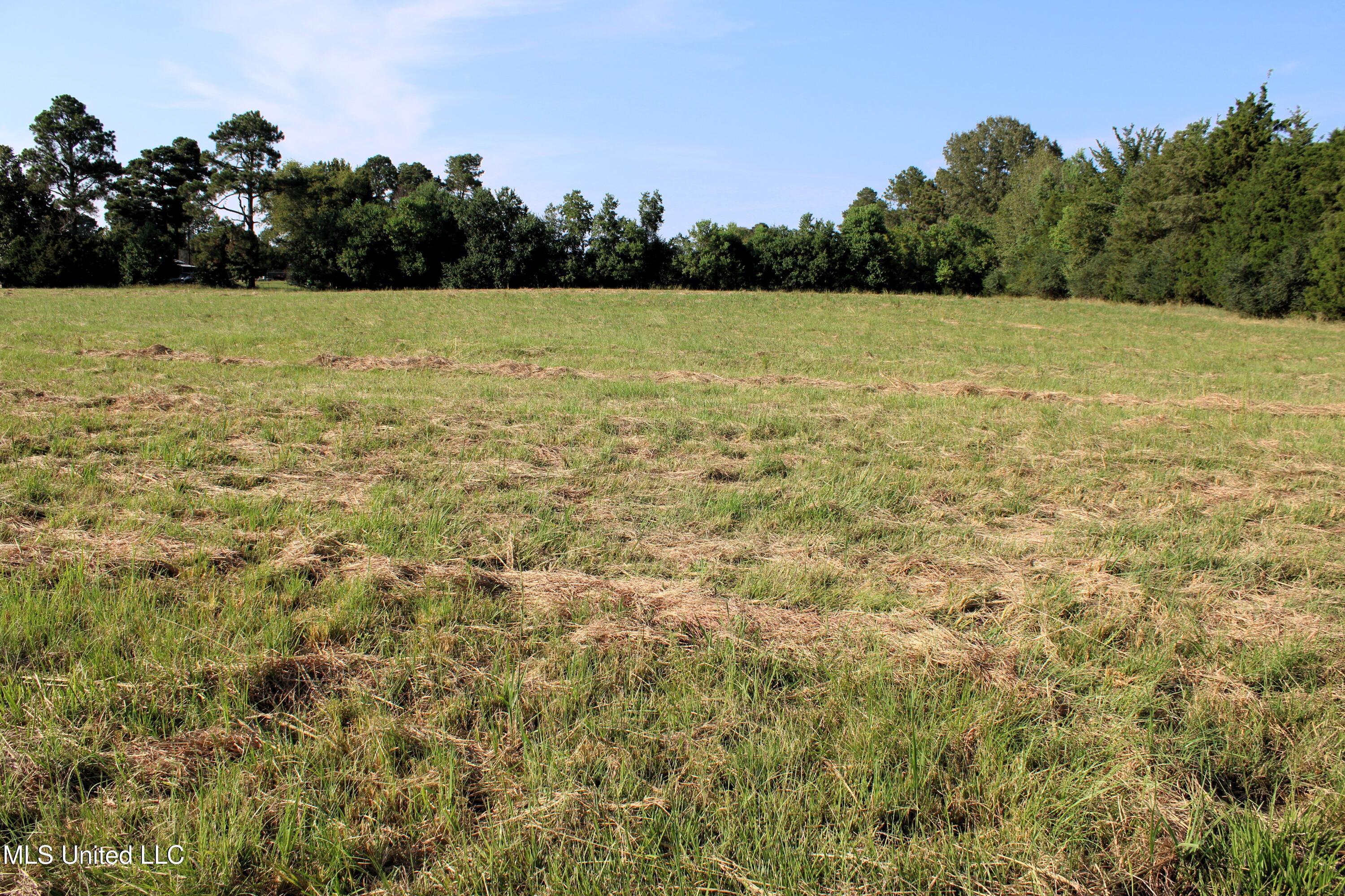 0 Smith-Carr Road Canton, MS 39046 - Photo 8 of 13 IMG_5009