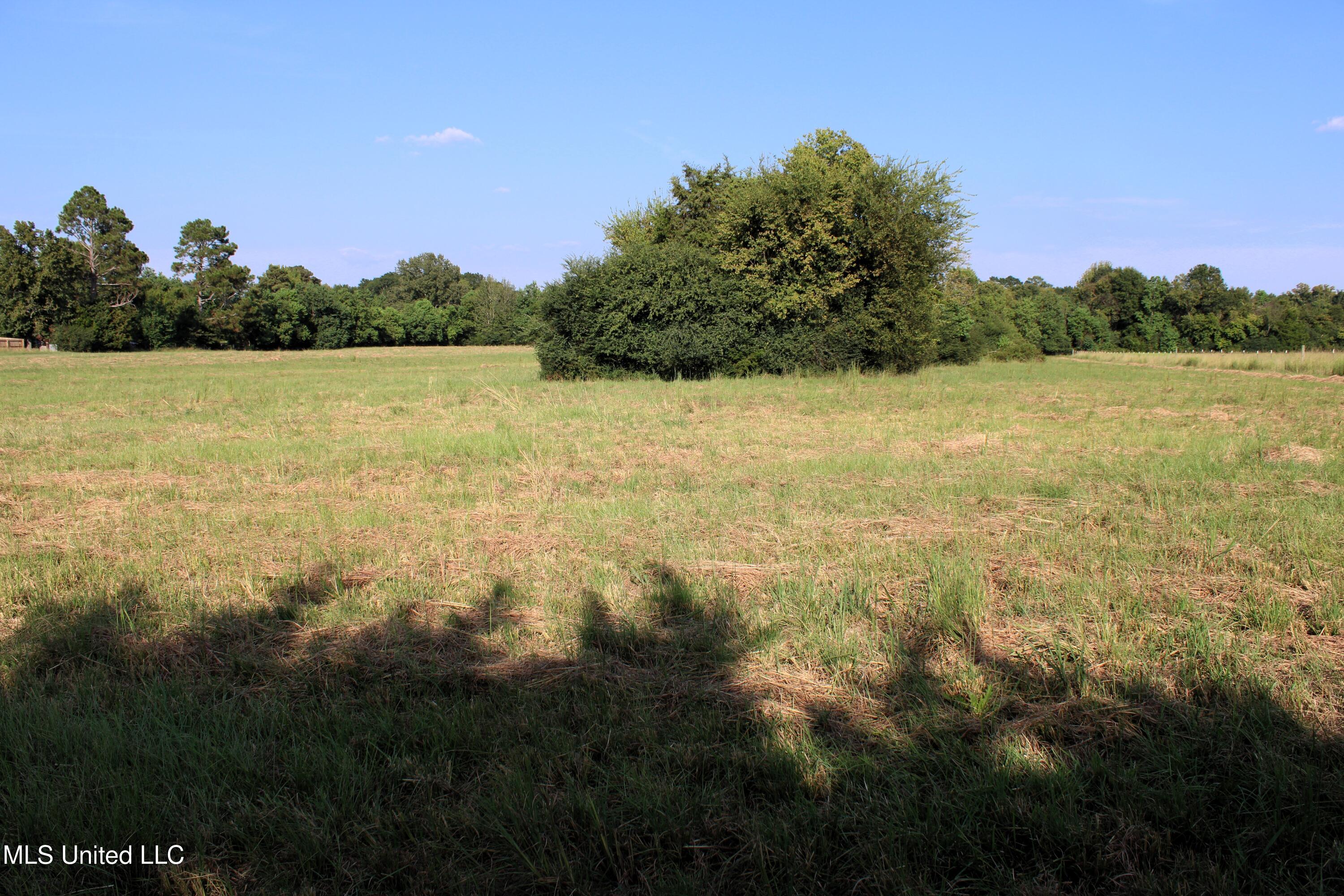 0 Smith-Carr Road Canton, MS 39046 - Photo 10 of 13 IMG_5011